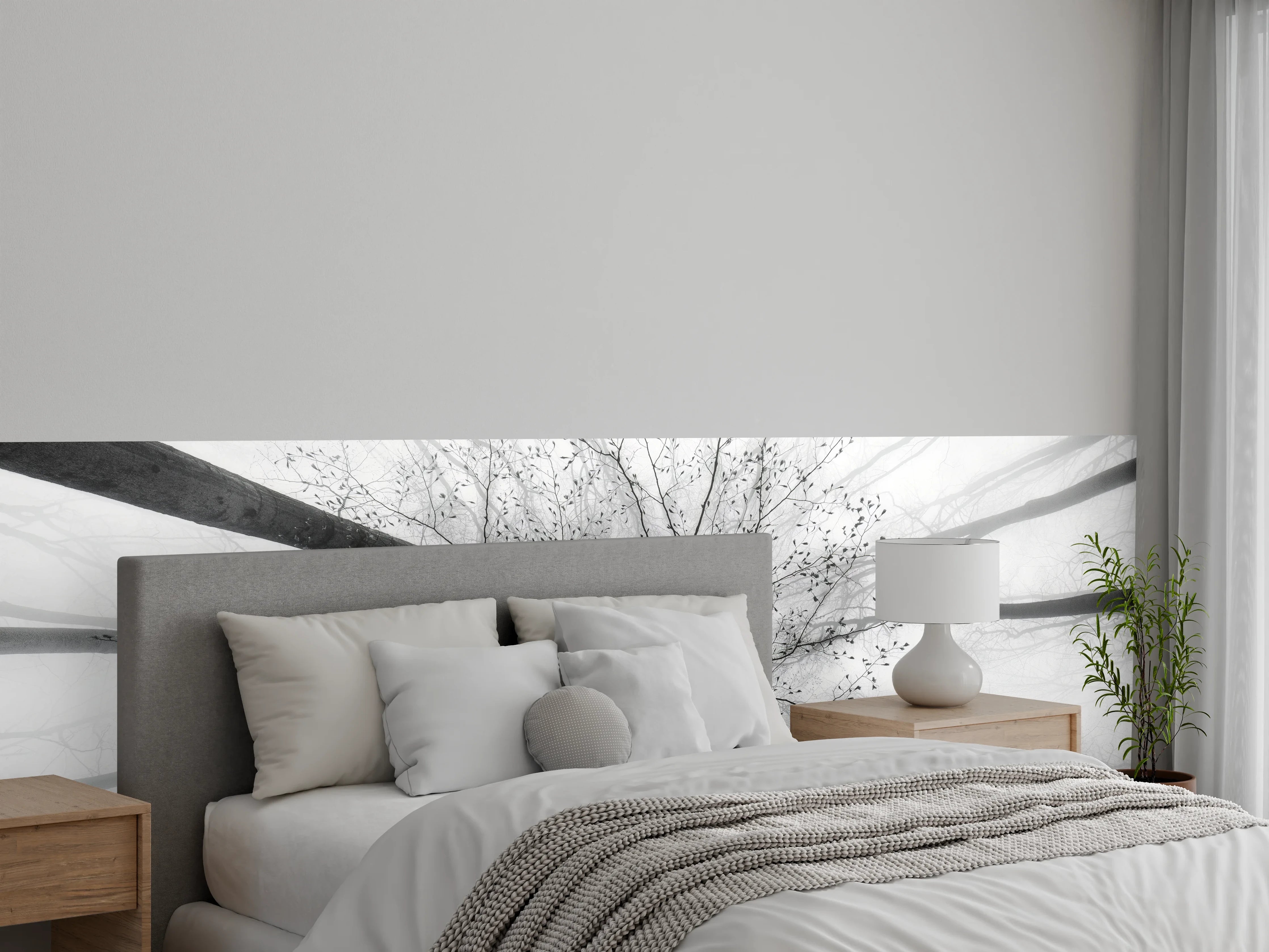 Wandverkleidung Schlafzimmer - Schwarz-Weiß Baumkronen Fotomotiv