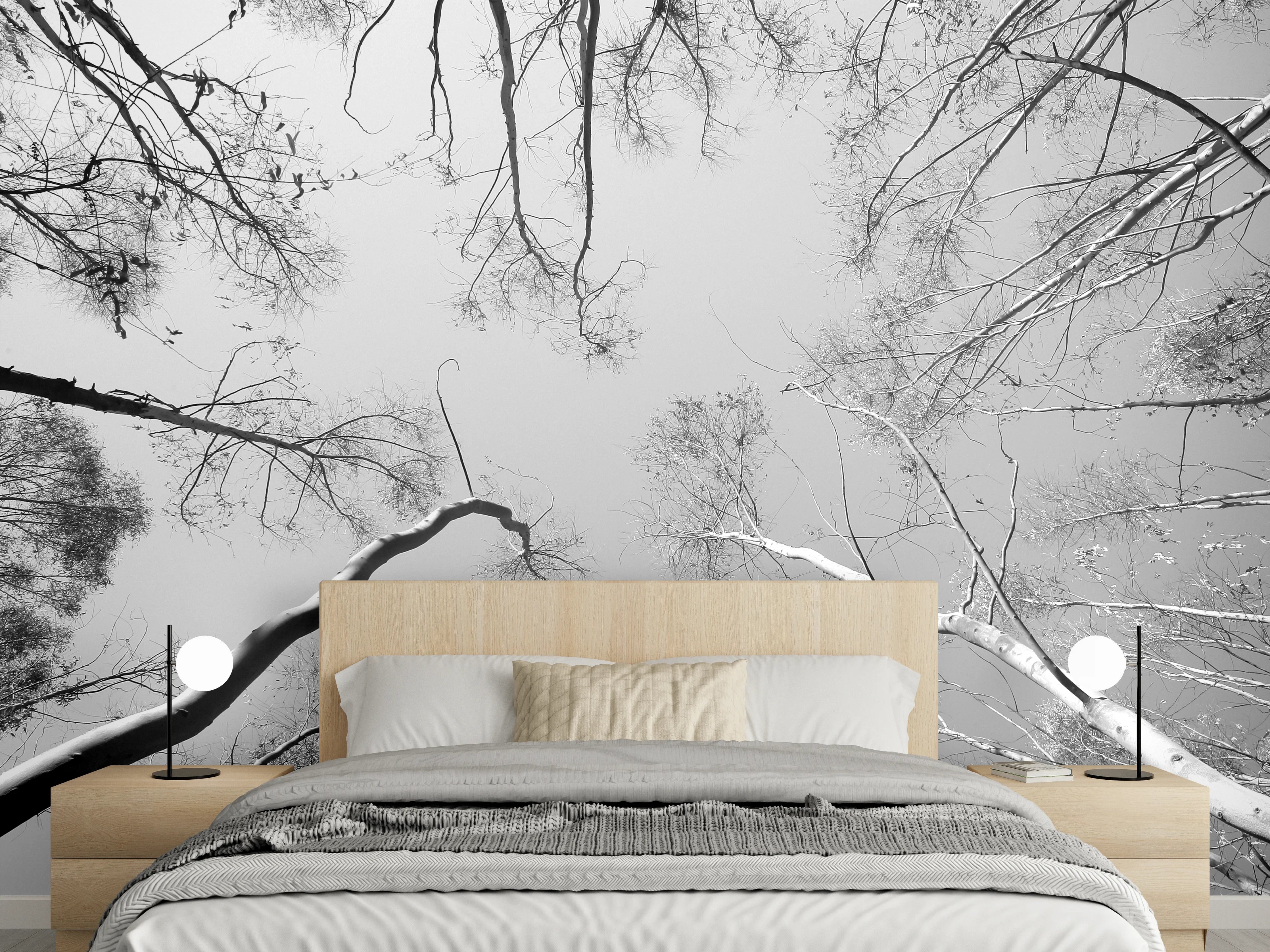 Wandverkleidung Schlafzimmer - Schwarz-Weiß Baumkronen aus der Froschperspektive
