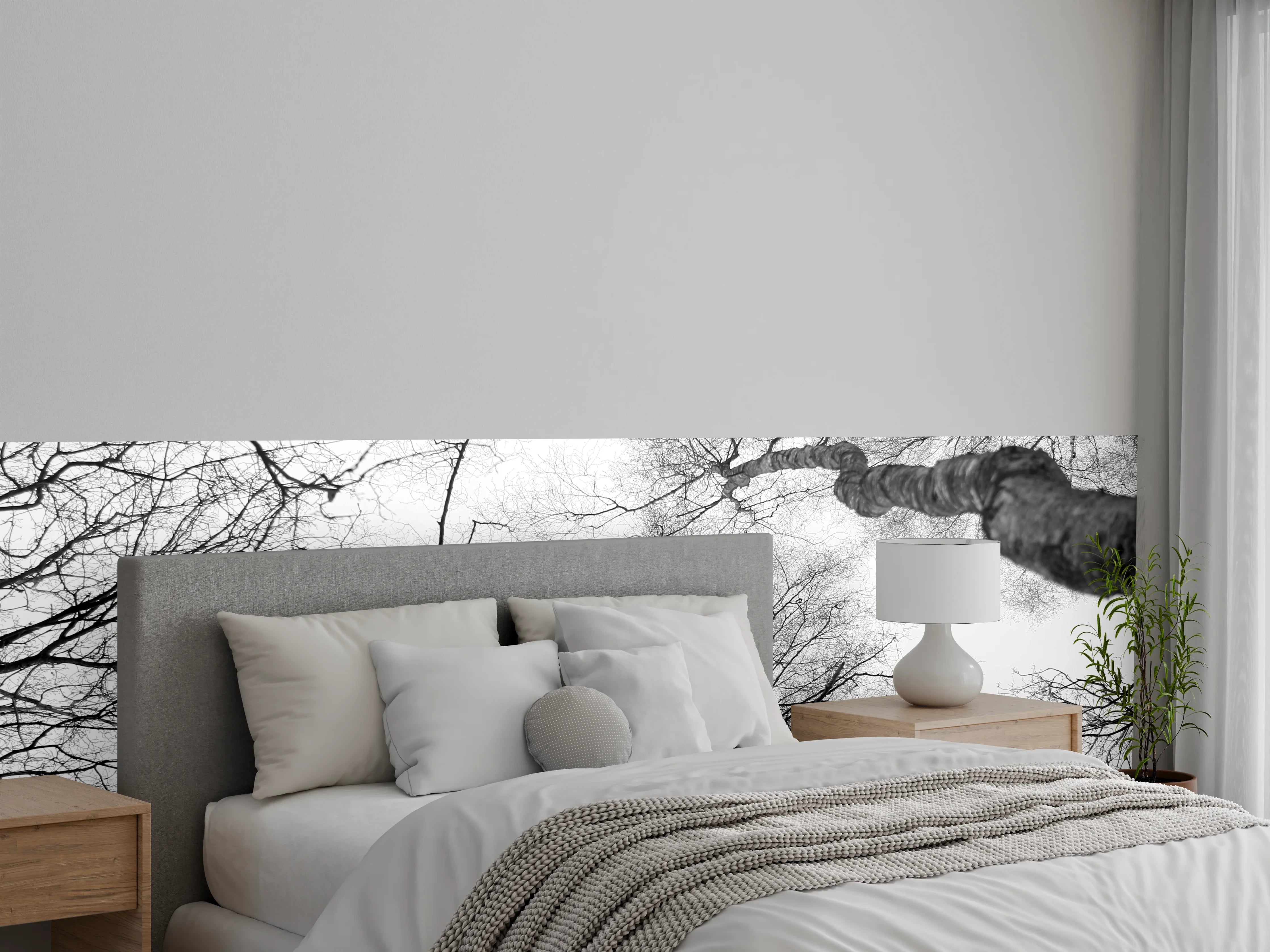 Wandverkleidung Schlafzimmer - Schwarz-weiße Baumkronen Fotografie
