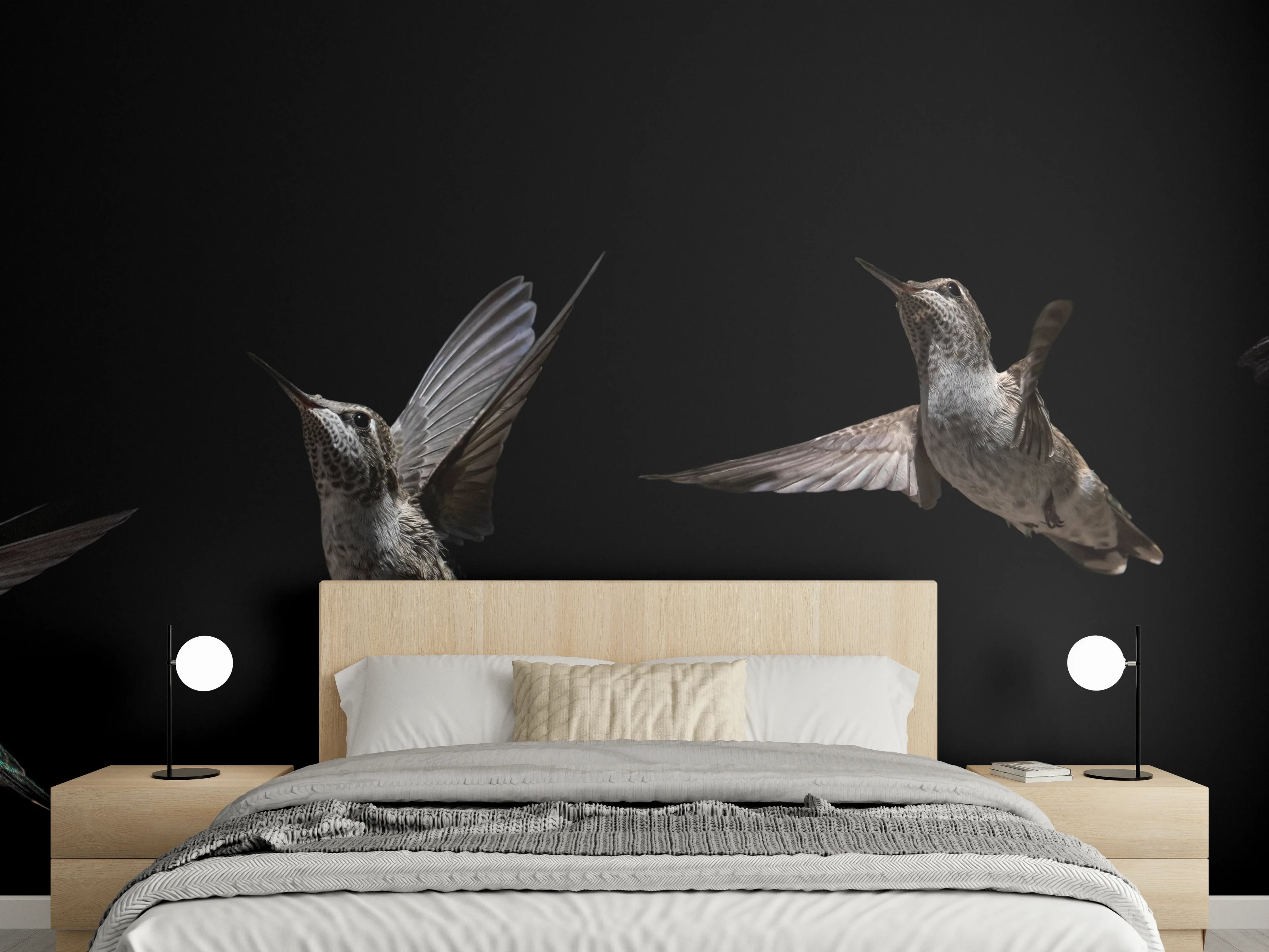 Wandverkleidung Schlafzimmer - Schwarzkinnkolibri Vogel mit Schwarzem Hintergrund