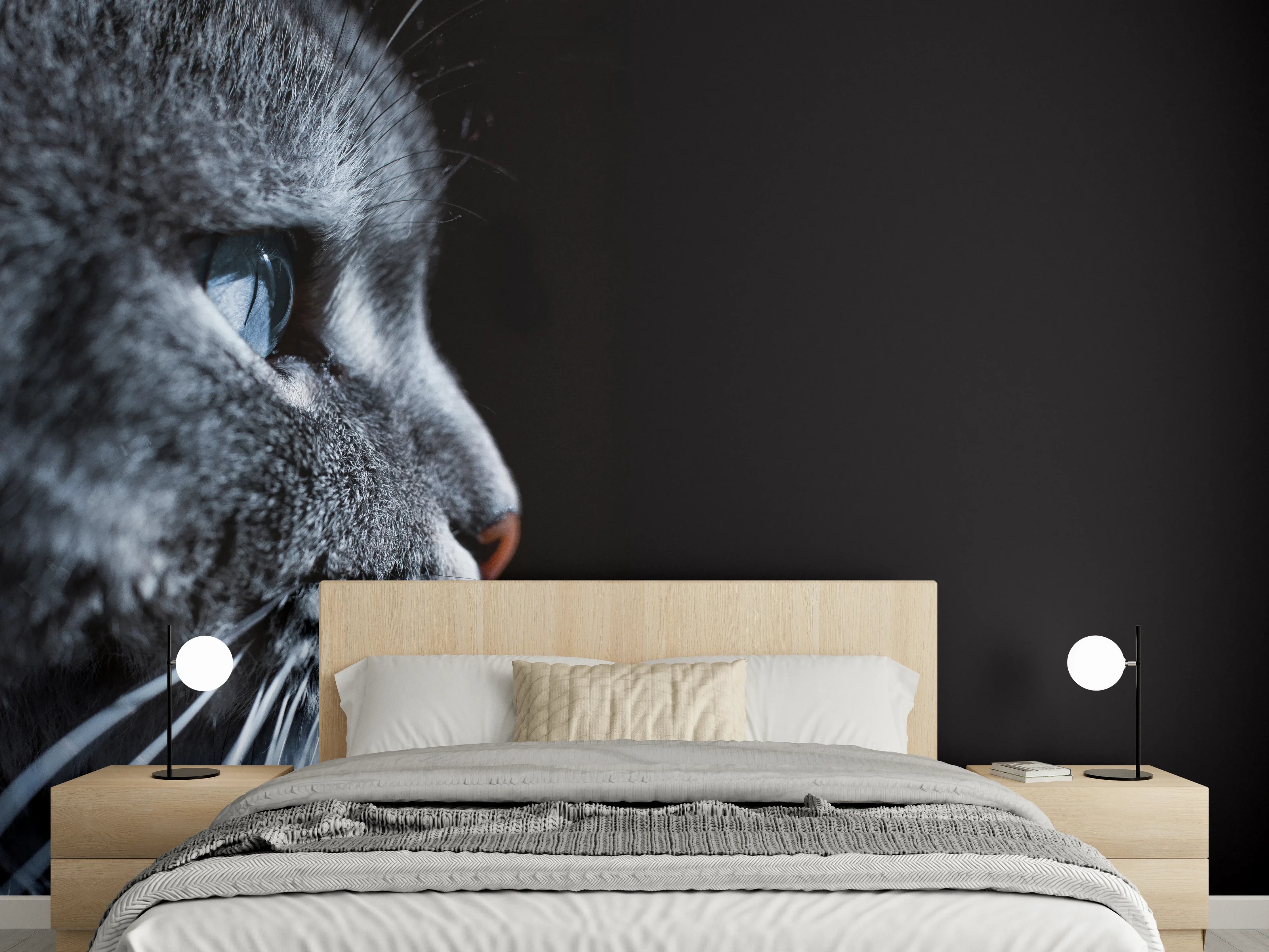 Wandverkleidung Schlafzimmer - Seitliches Katzen-Portrait