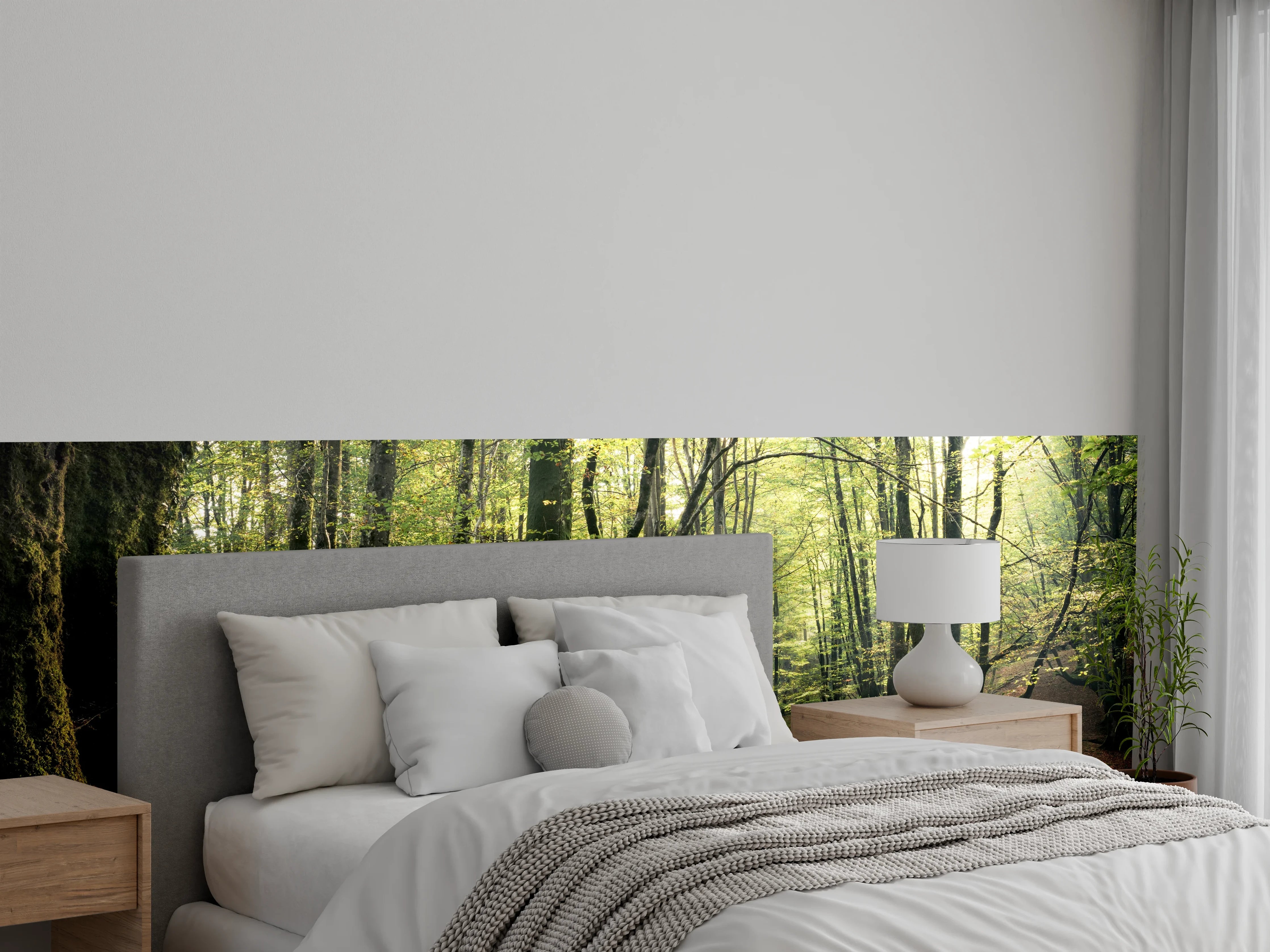 Wandverkleidung Schlafzimmer - Silberne Lichtschleier im Nebelwald