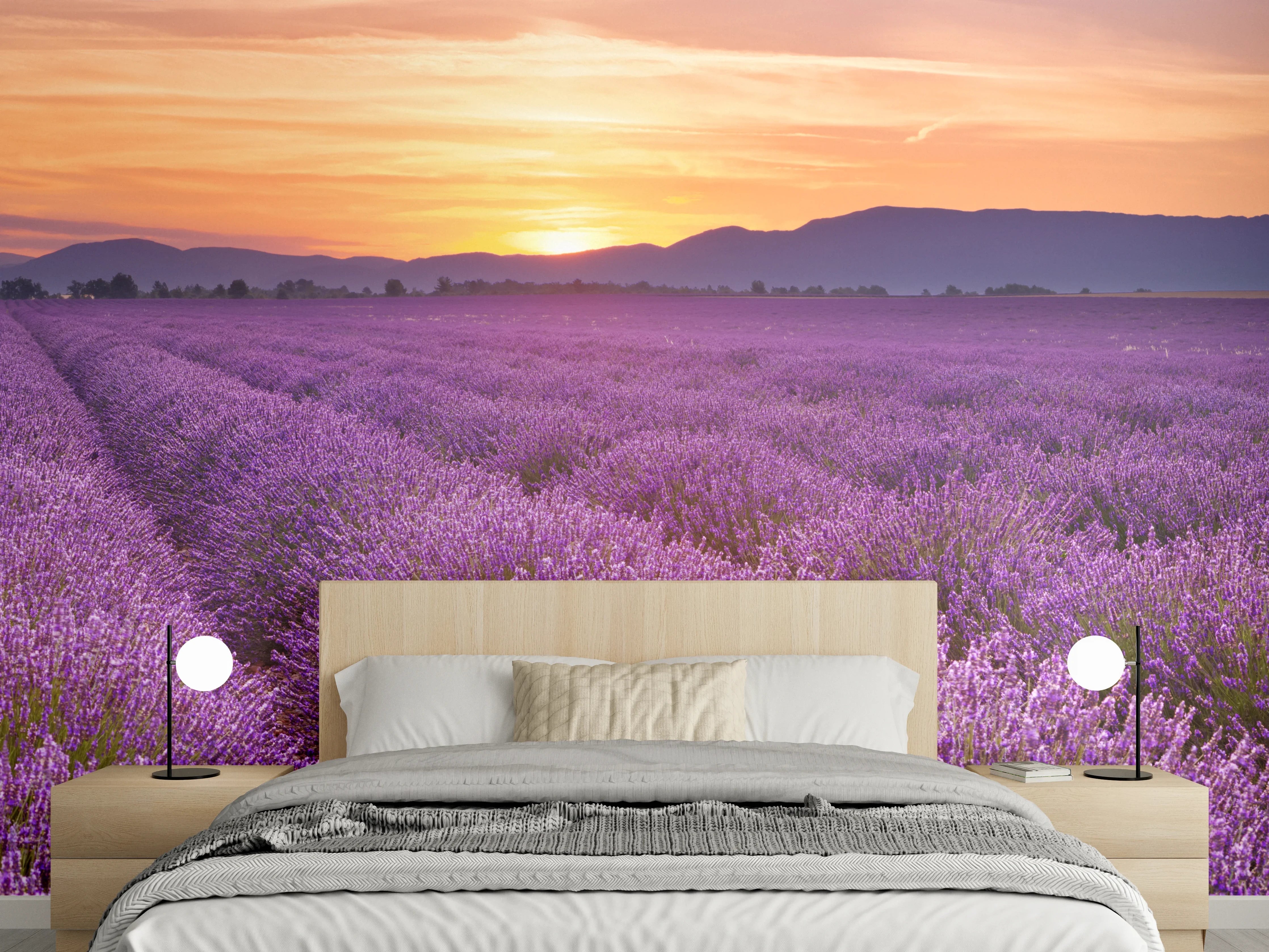 Wandverkleidung Schlafzimmer - Sonnenaufgang über Lavendelfelder - Provence