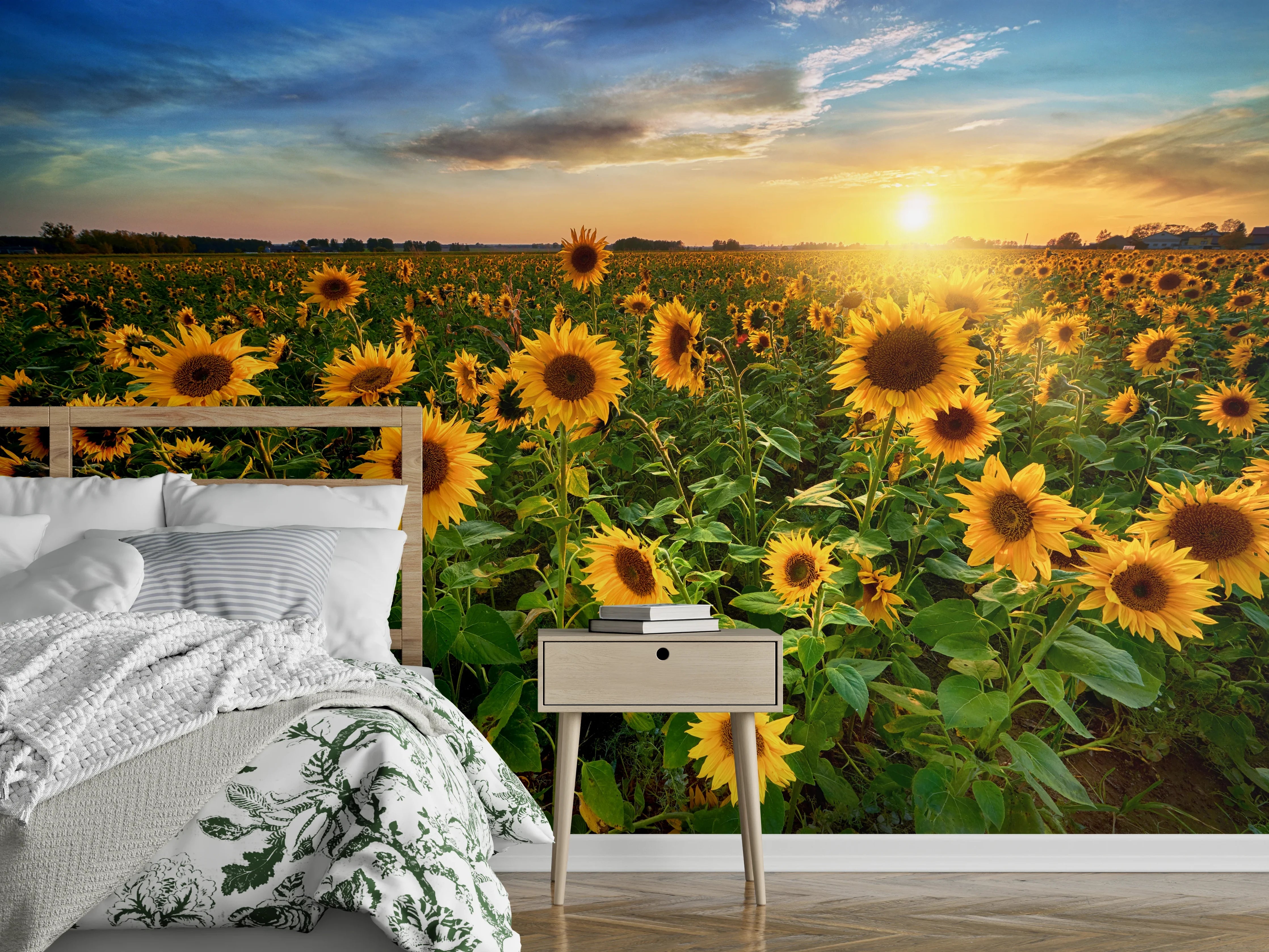 Wandverkleidung Schlafzimmer - Sonnenblumenfeld bei Sonnenuntergang Fotomotiv