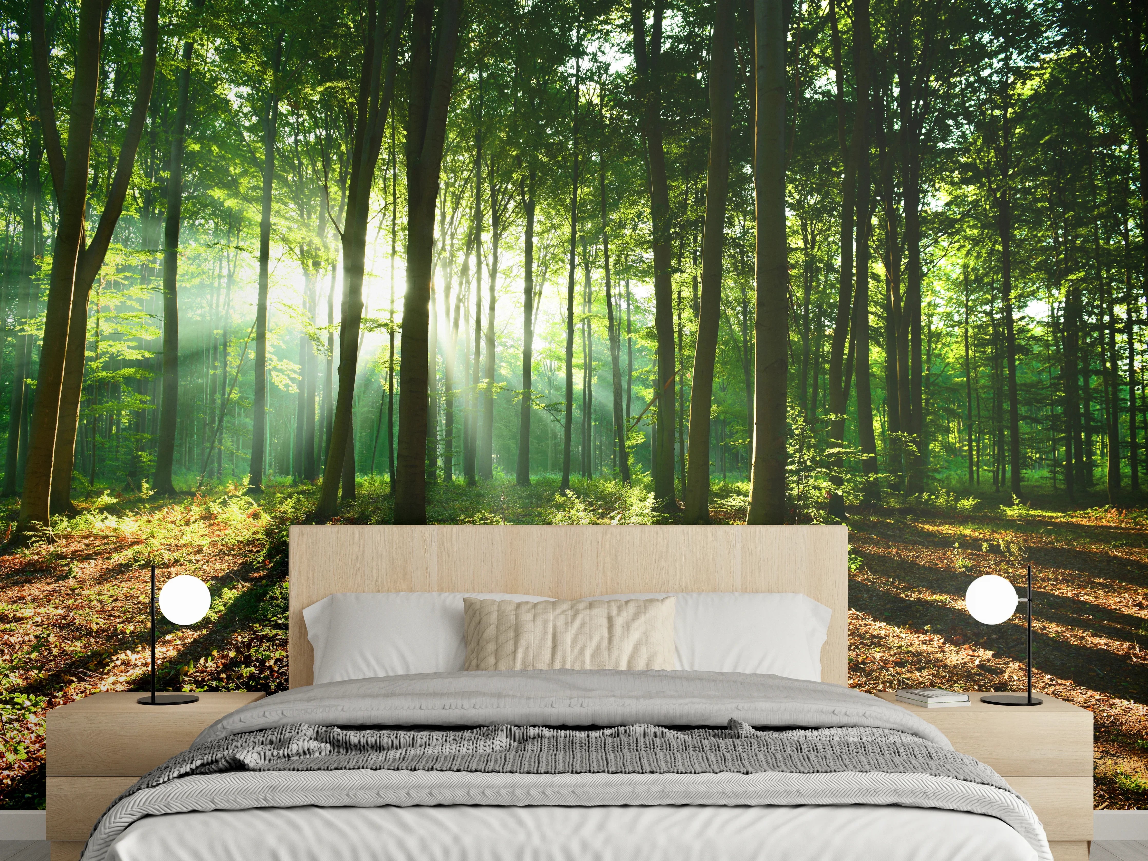 Wandverkleidung Schlafzimmer - Sonnenstrahlen im grünen Waldmotiv