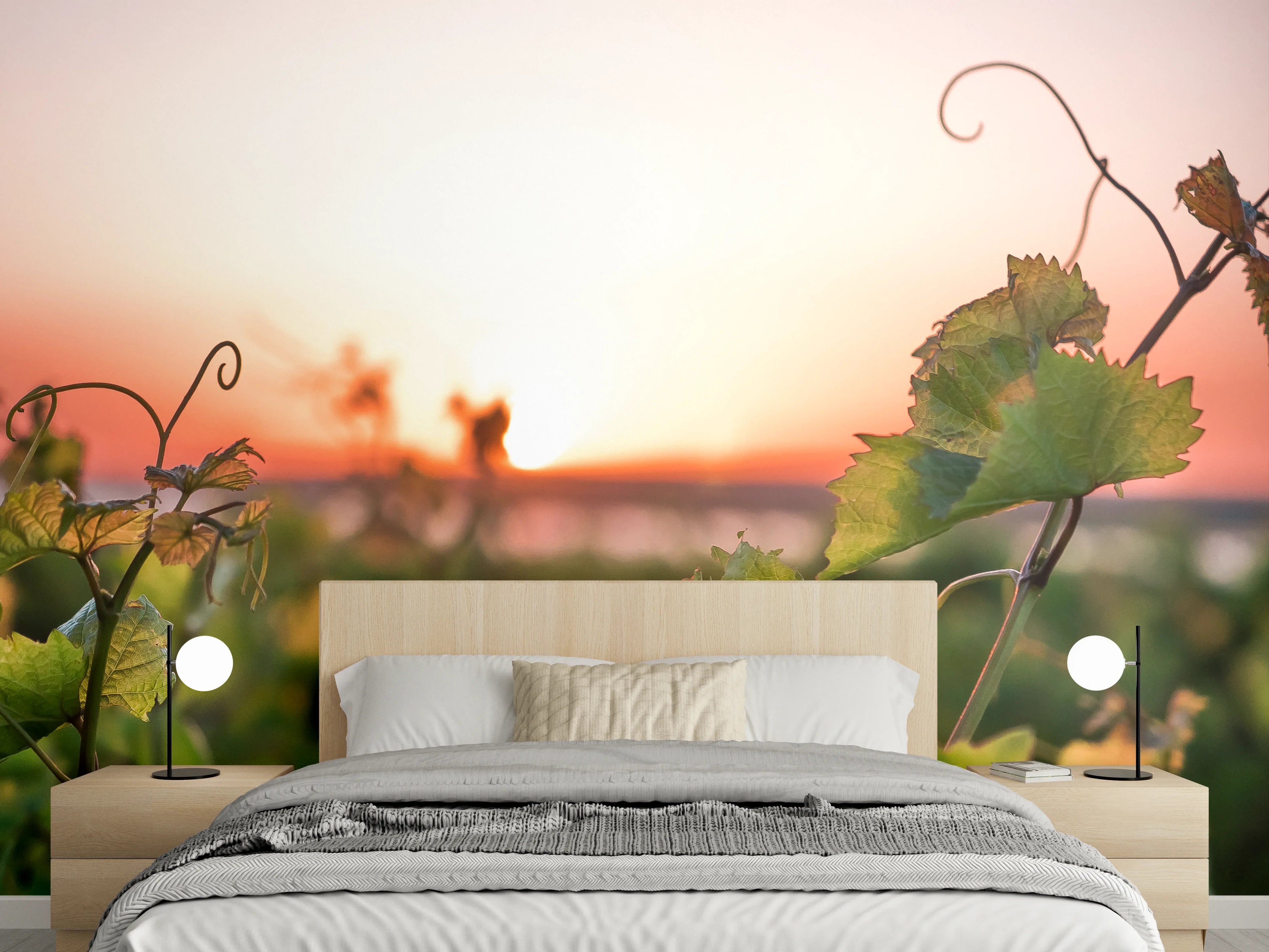 Wandverkleidung Schlafzimmer - Sonnenuntergang über Weinreben Landschaft