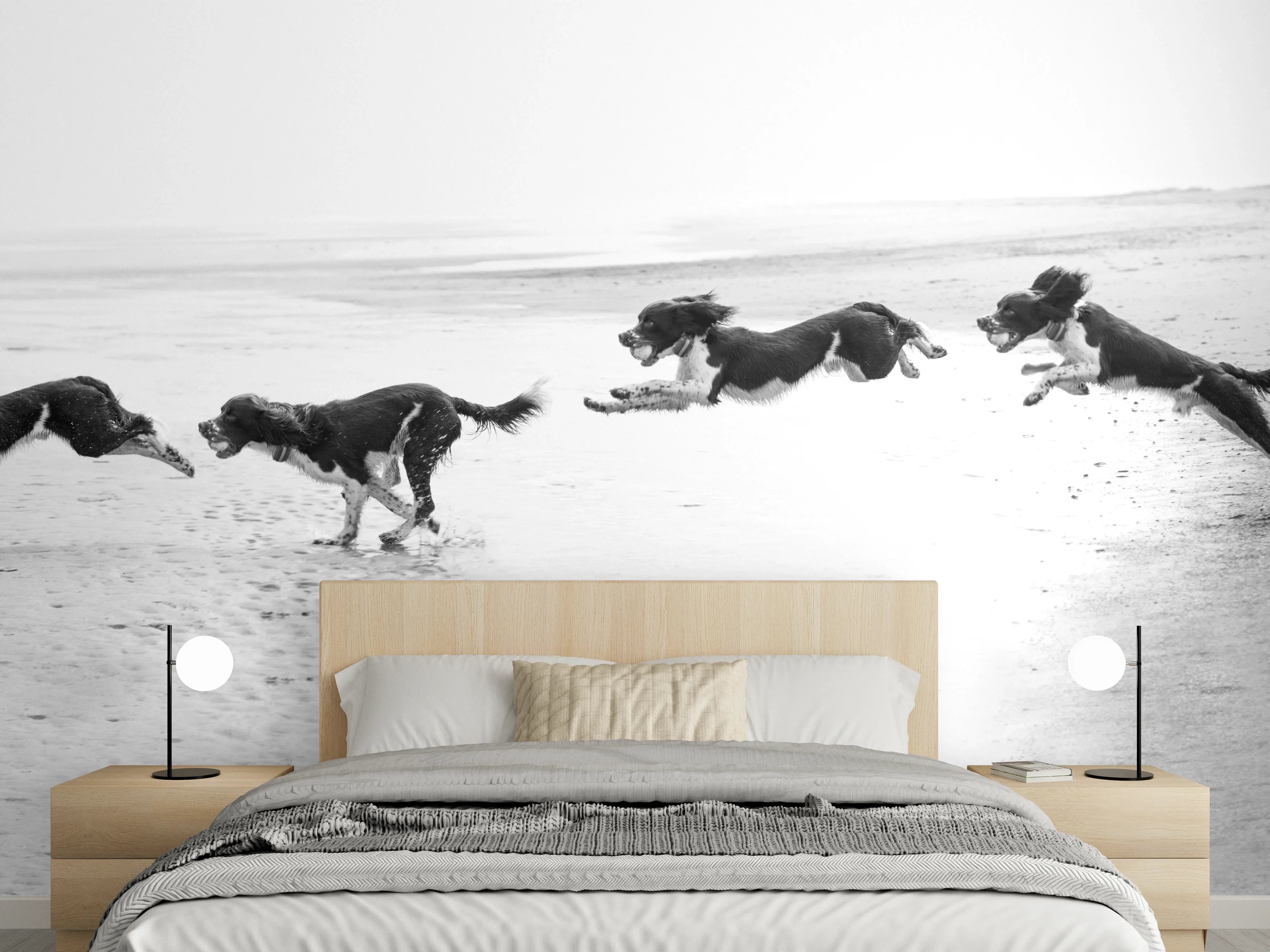 Wandverkleidung Schlafzimmer - Springer Spaniel beim springen