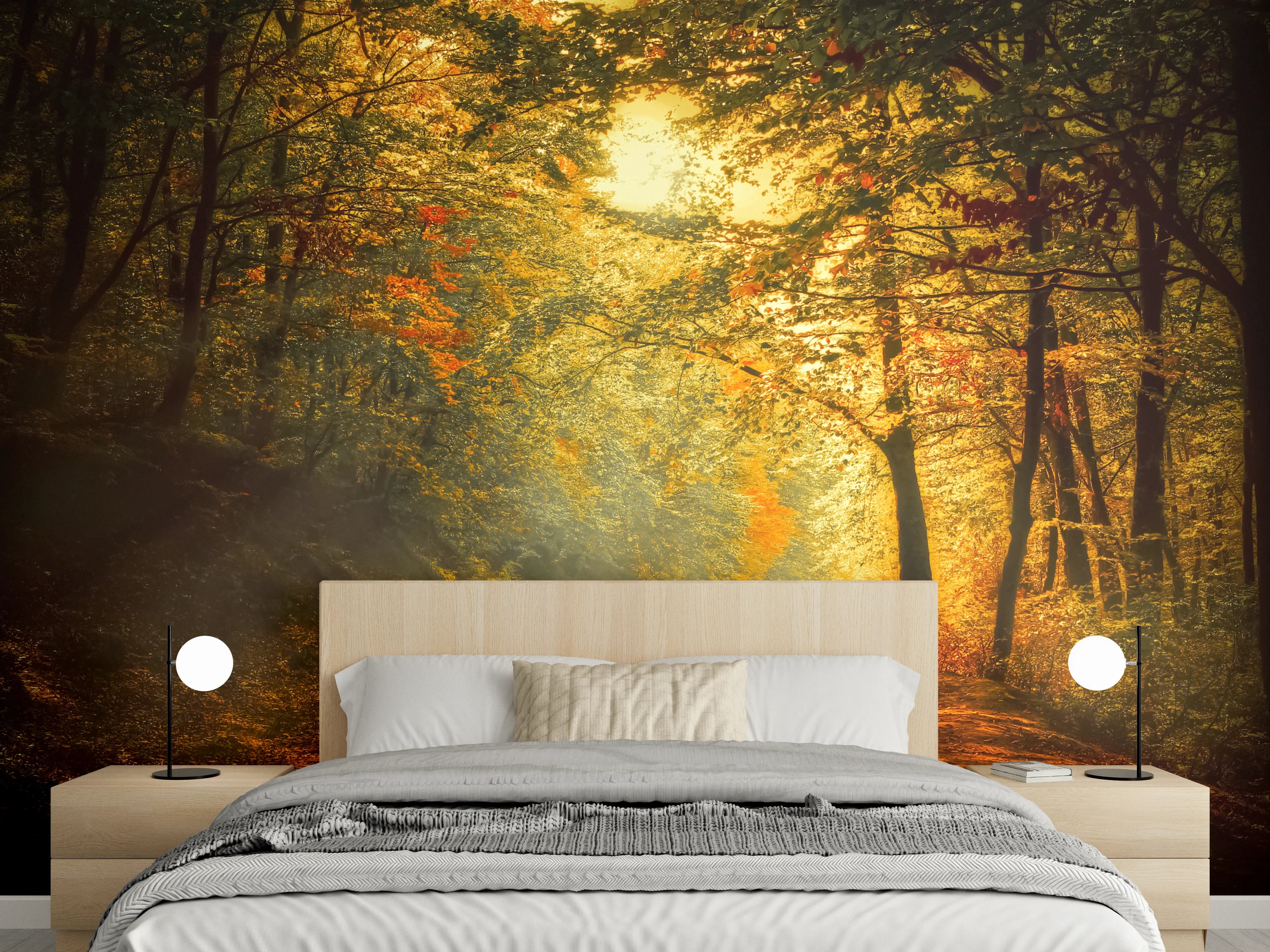 Wandverkleidung Schlafzimmer - Stimmungsvoller Herbstwald Fotomotiv