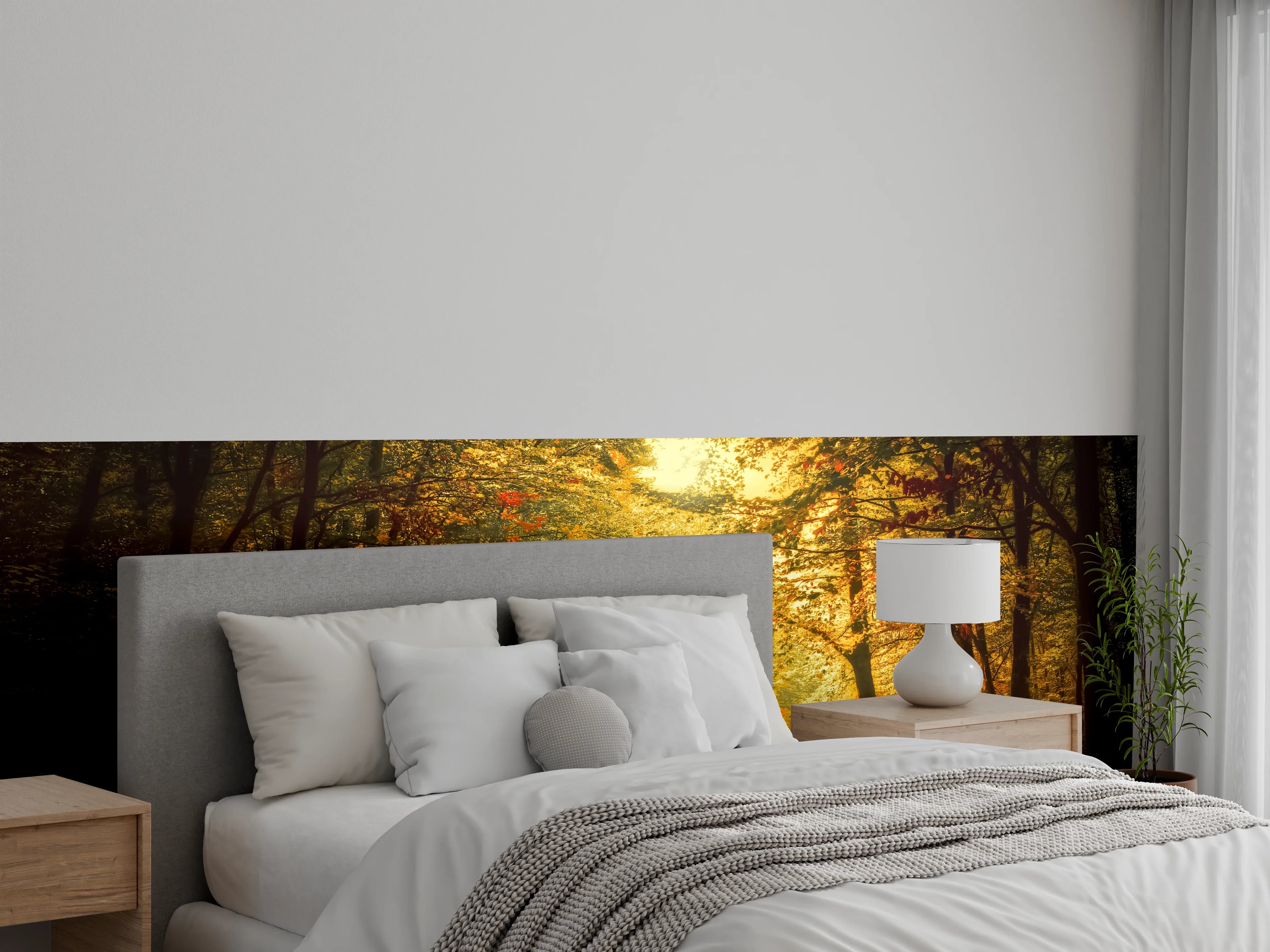 Wandverkleidung Schlafzimmer - Stimmungsvoller Herbstwald Fotomotiv