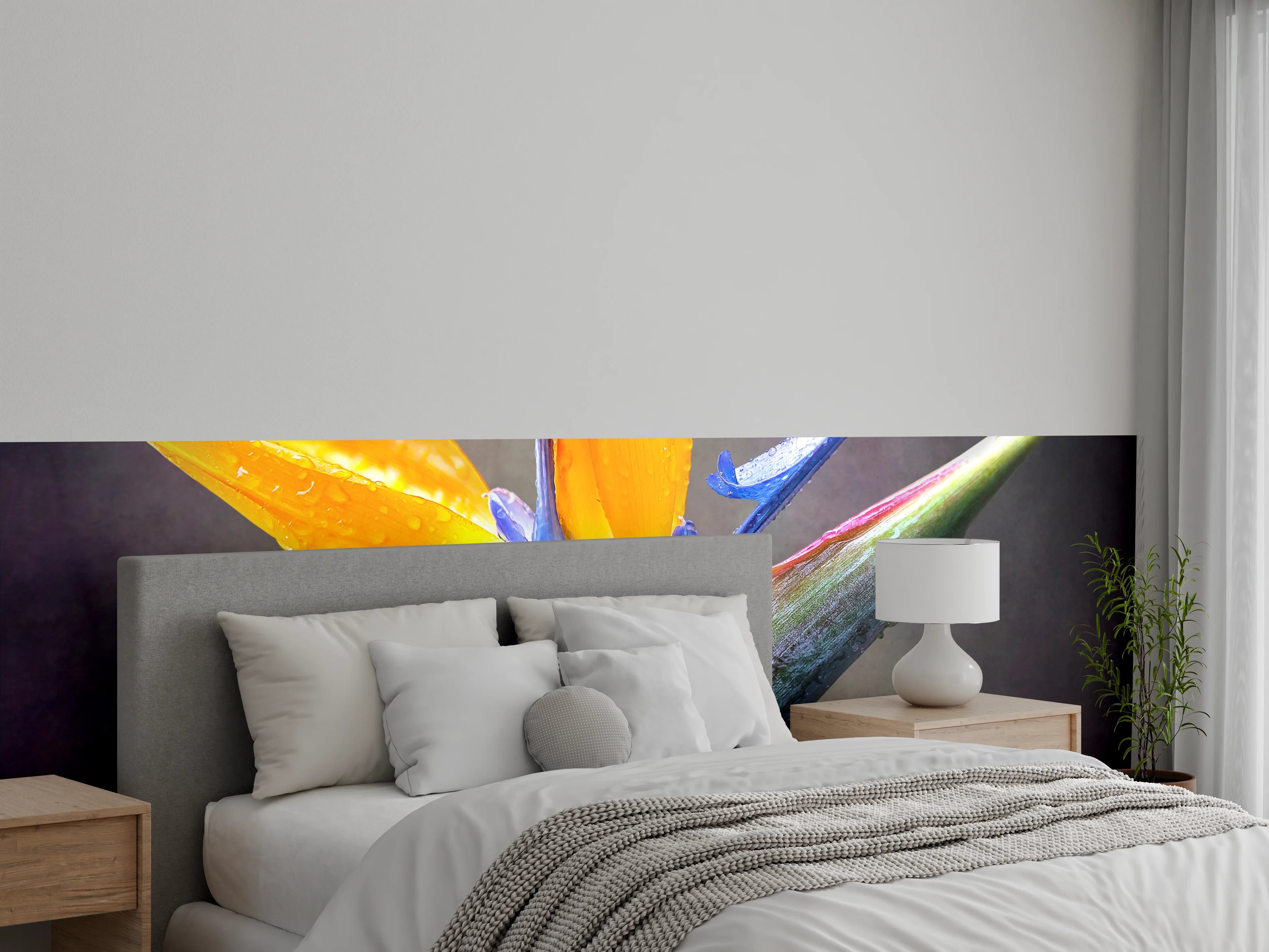Wandverkleidung Schlafzimmer - Strelitzie Blume Nahaufnahme Kunstfoto
