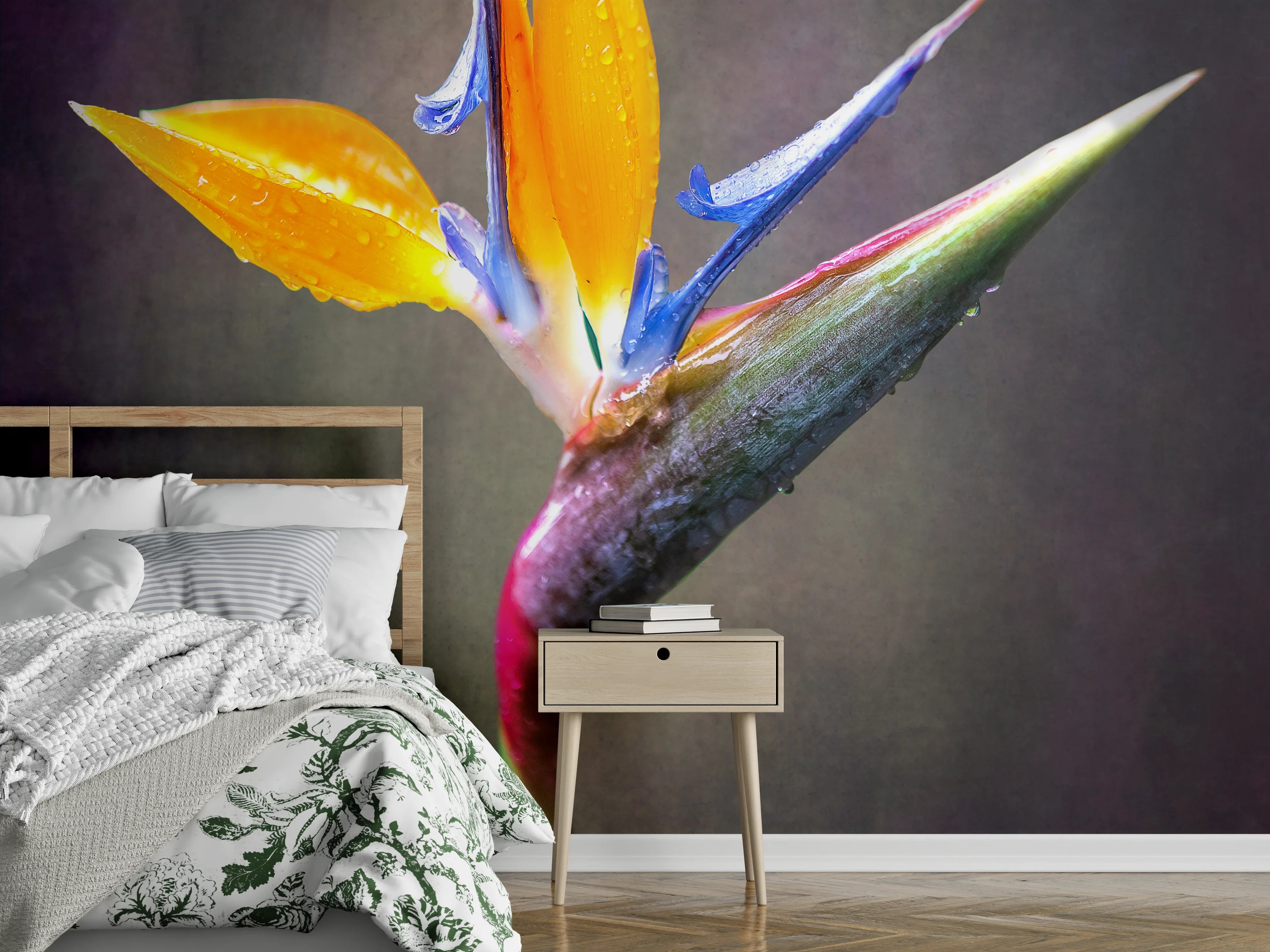 Wandverkleidung Schlafzimmer - Strelitzie Blume Nahaufnahme Kunstfoto