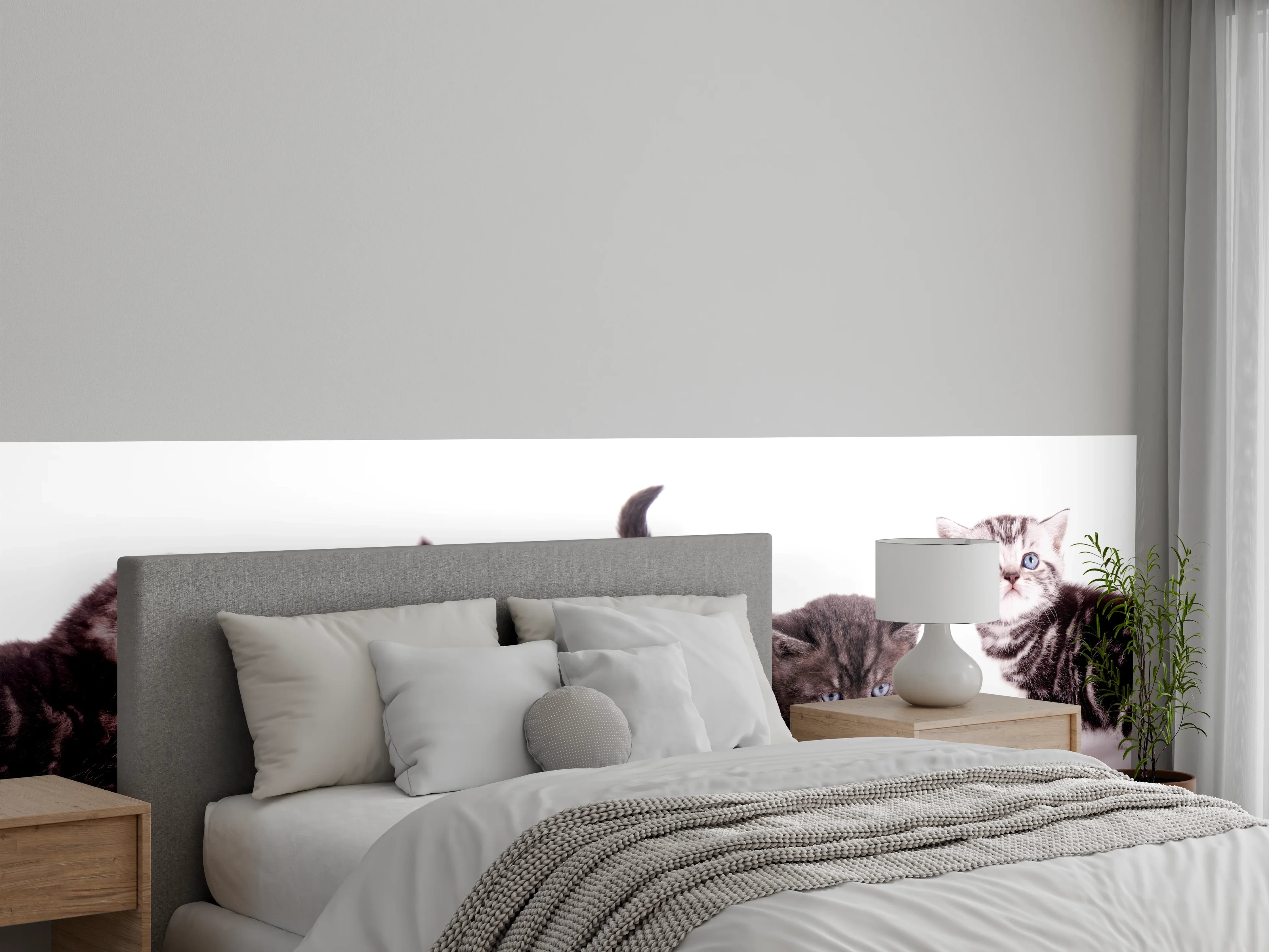 Wandverkleidung Schlafzimmer - Süße Britisch Kurzhaar Kätzchen