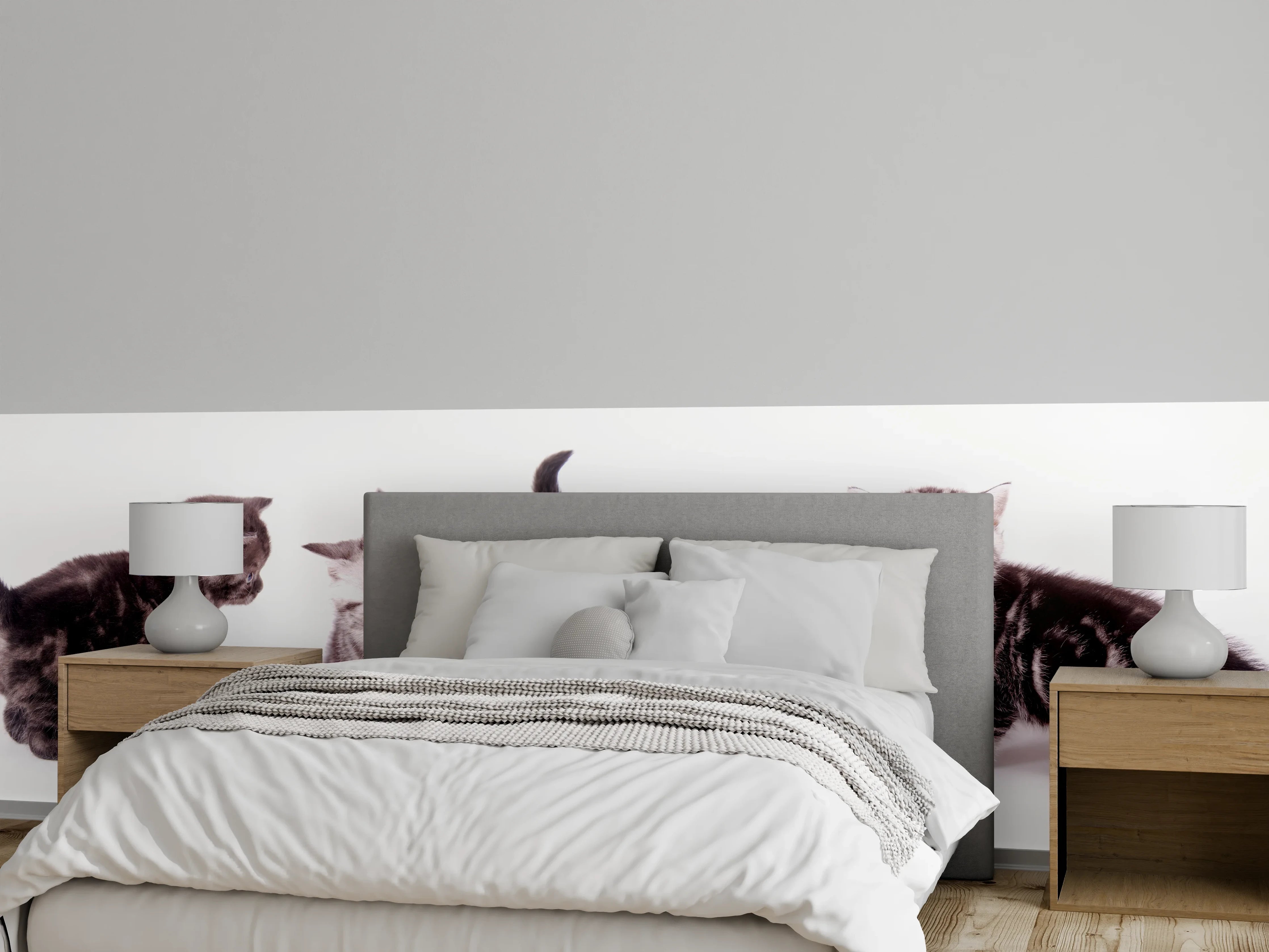 Wandverkleidung Schlafzimmer - Süße Britisch Kurzhaar Kätzchen