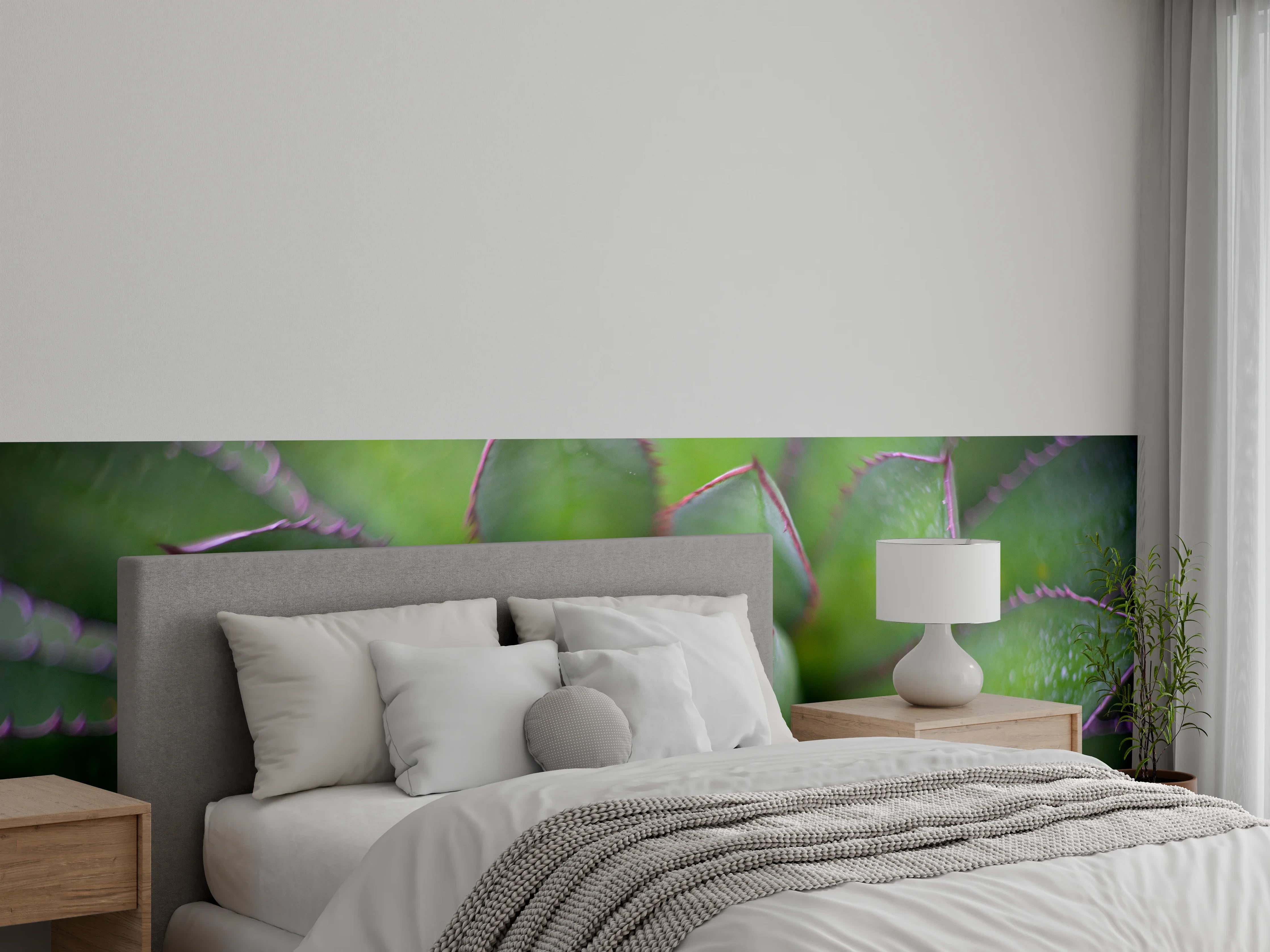 Wandverkleidung Schlafzimmer - Sukkulente Makro Grün Abstrakt