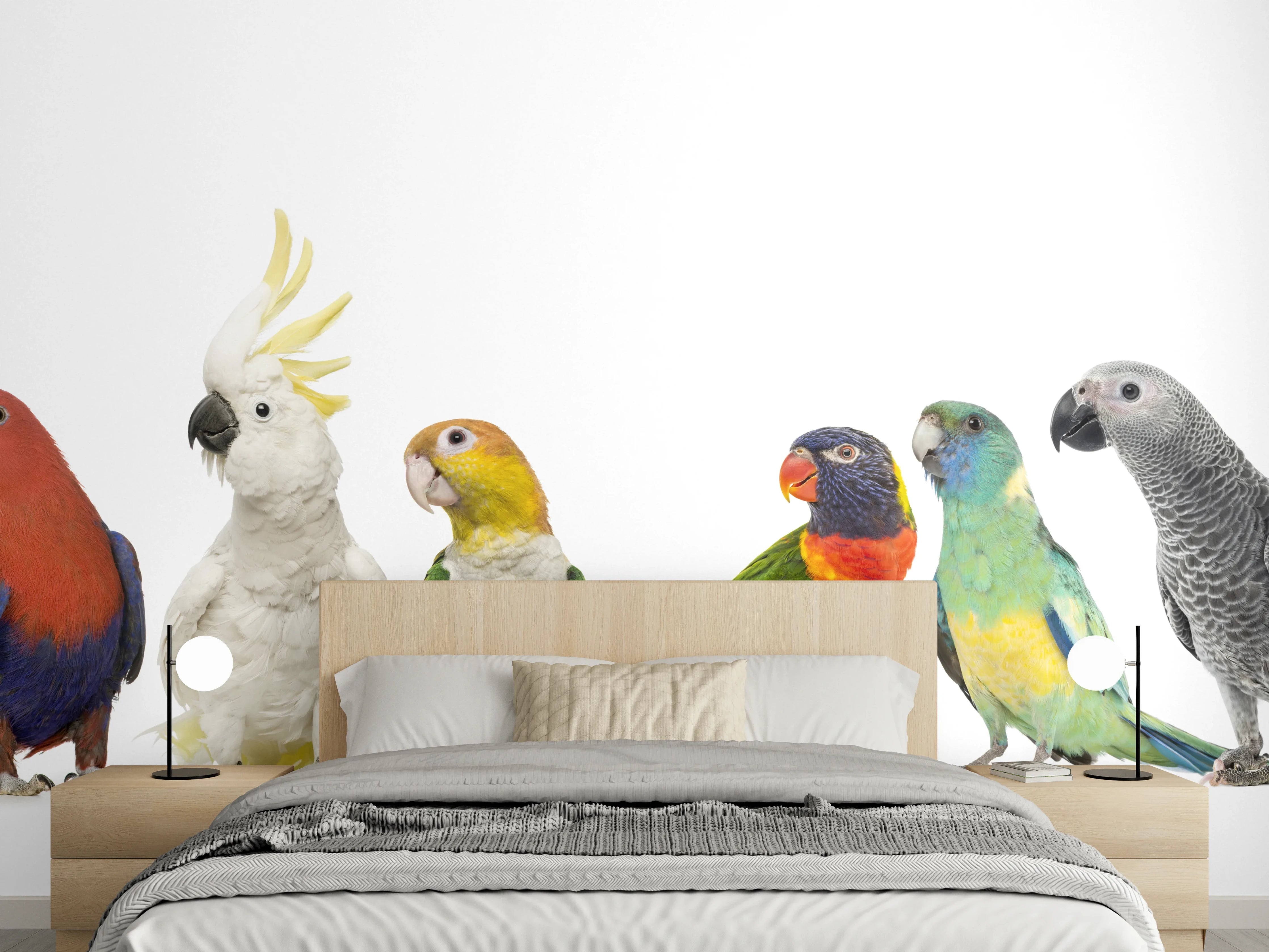 Wandverkleidung Schlafzimmer - Tropische Papageien - Exotisch