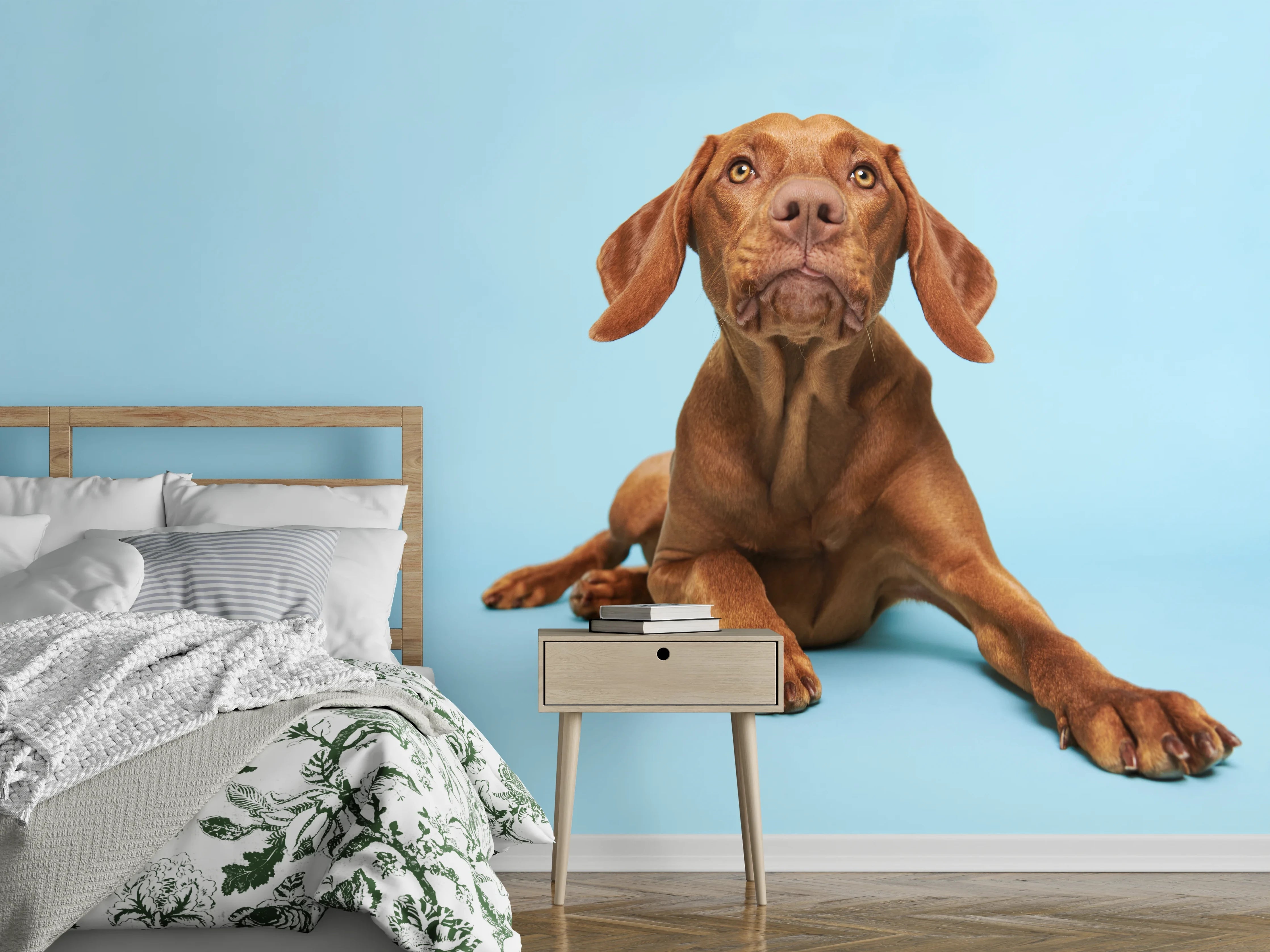 Wandverkleidung Schlafzimmer - Ungarischer Vizsla-Welpe Portrait