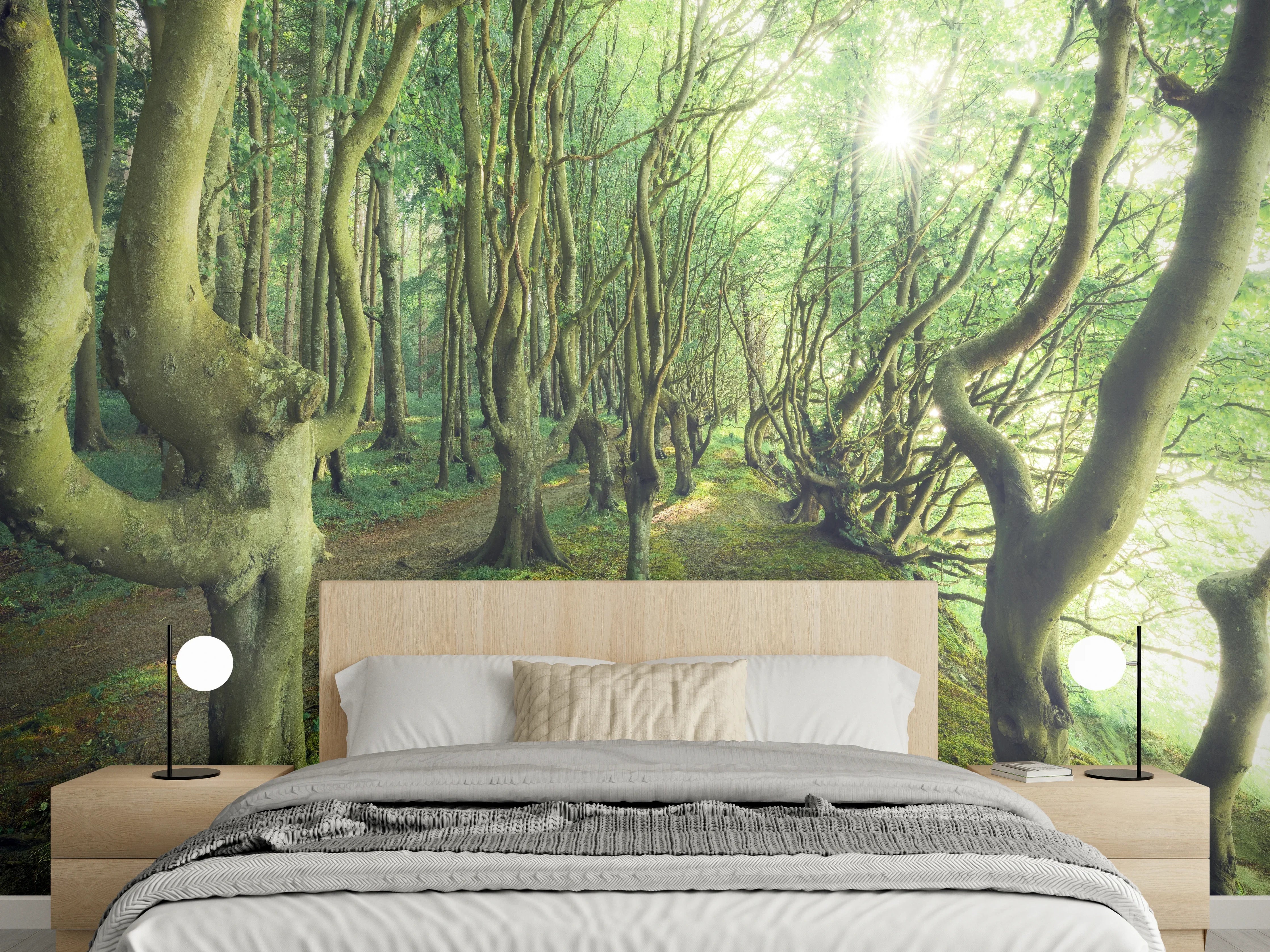 Wandverkleidung Schlafzimmer - Verträumter Wald im Morgenlicht