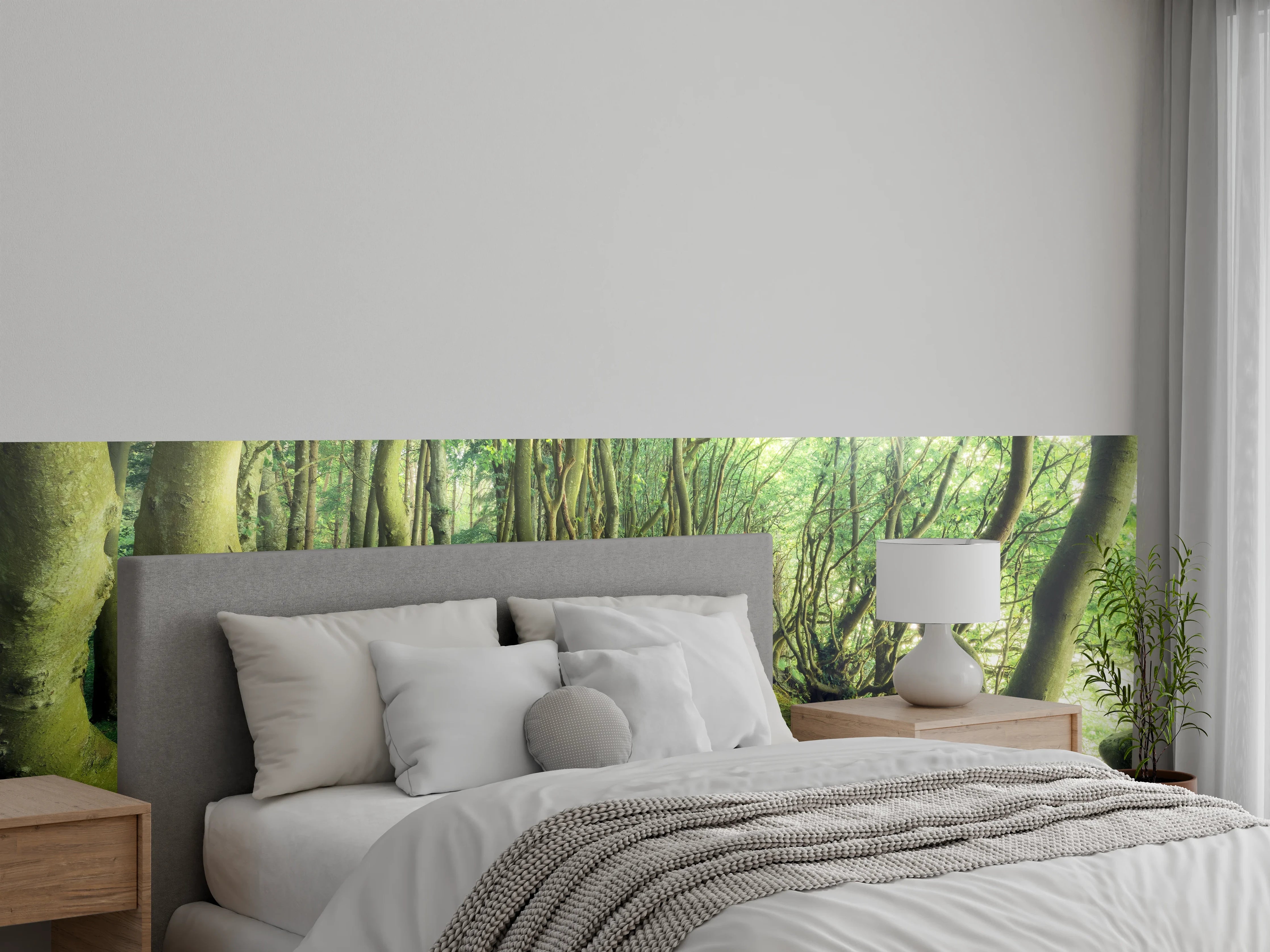 Wandverkleidung Schlafzimmer - Verträumter Wald im Morgenlicht