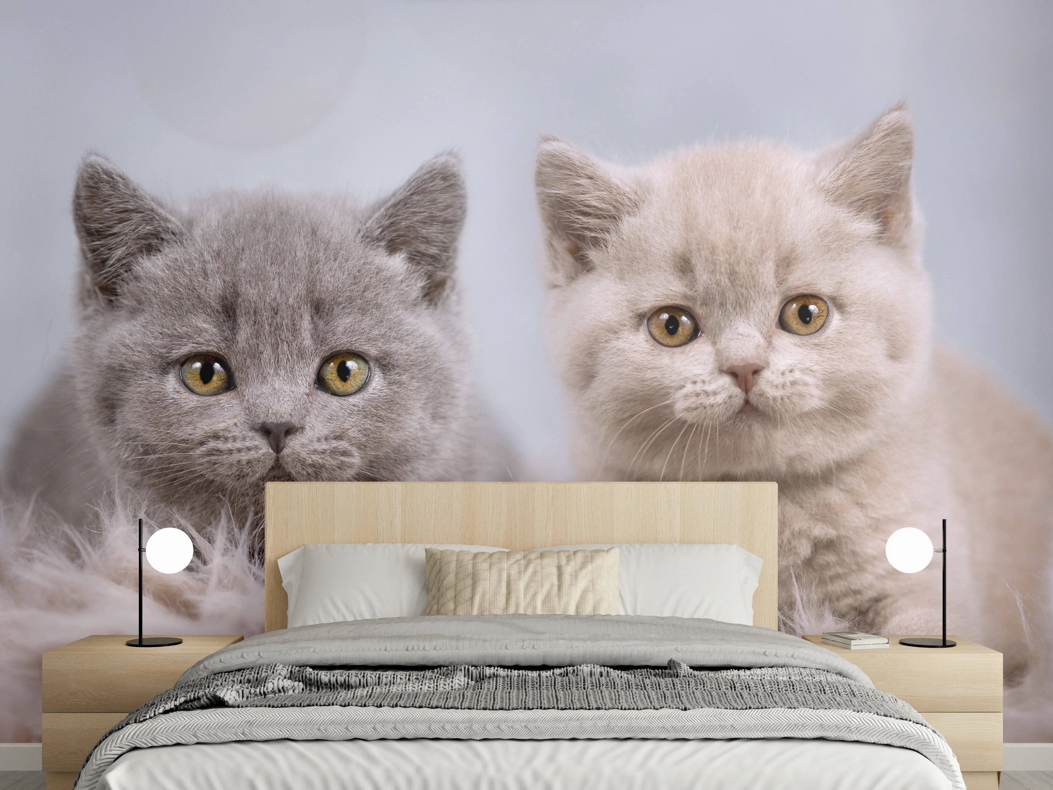 Wandverkleidung Schlafzimmer - Vier süße Katzenbaby