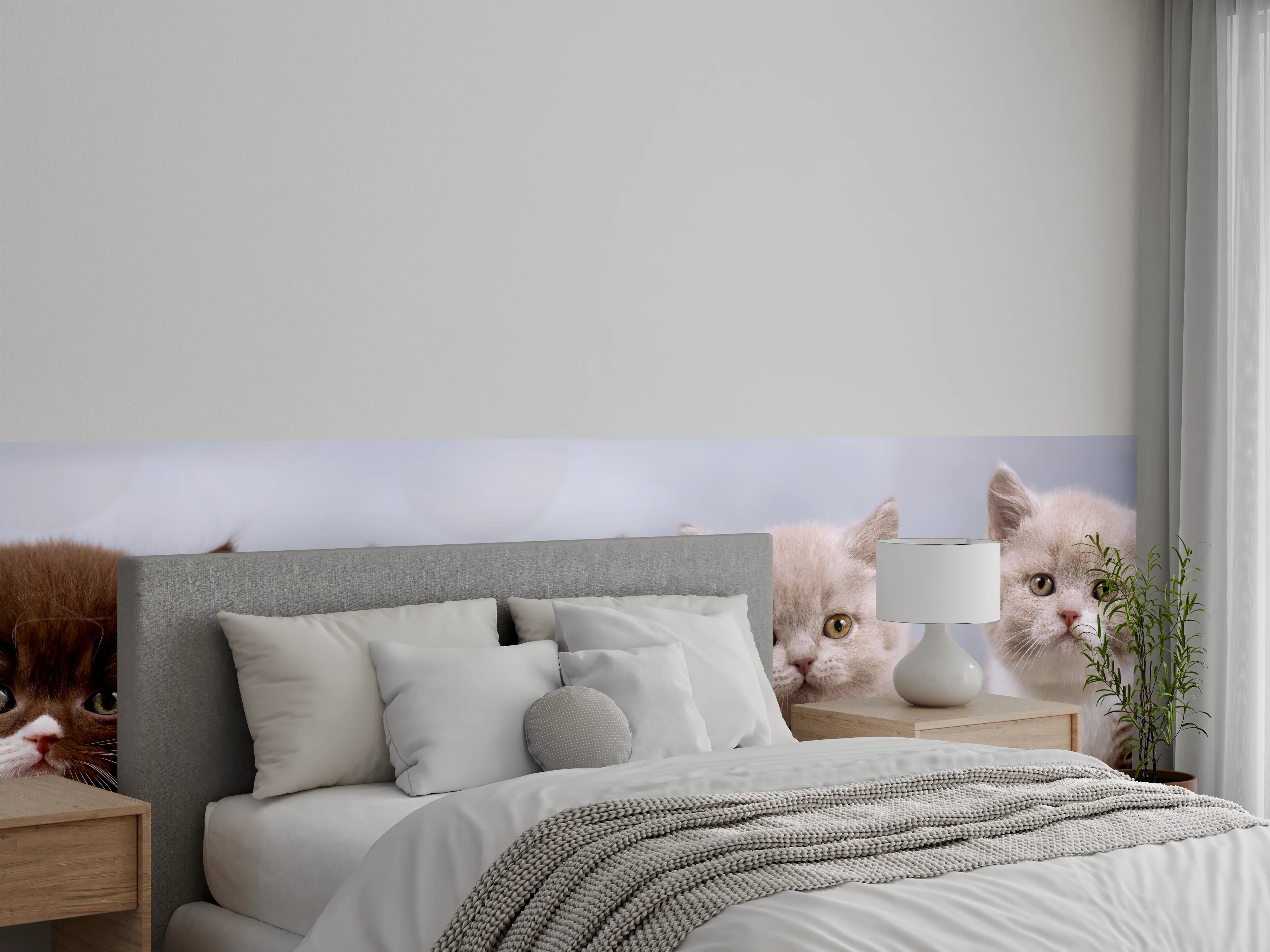 Wandverkleidung Schlafzimmer - Vier süße Katzenbaby