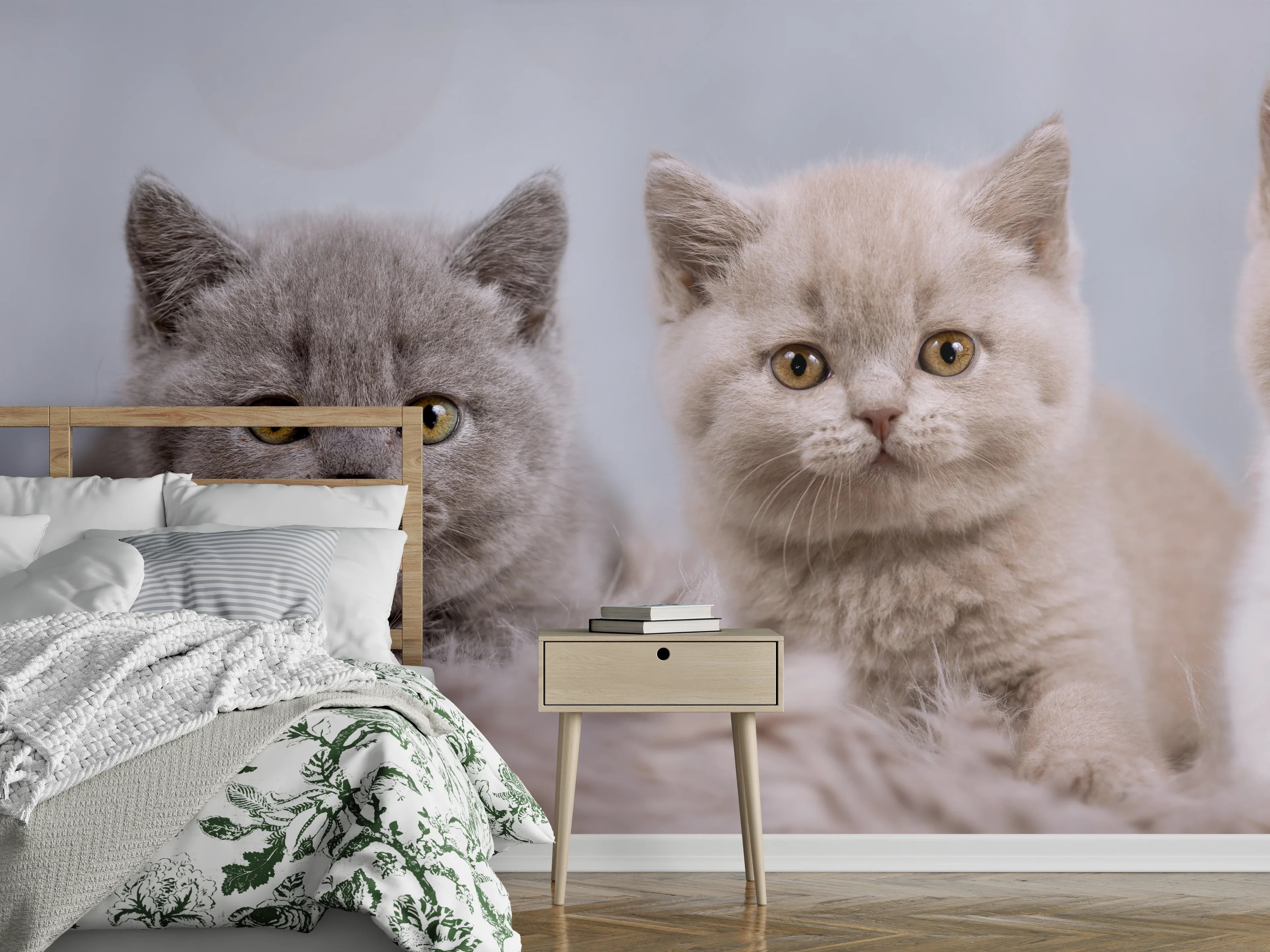 Wandverkleidung Schlafzimmer - Vier süße Katzenbaby