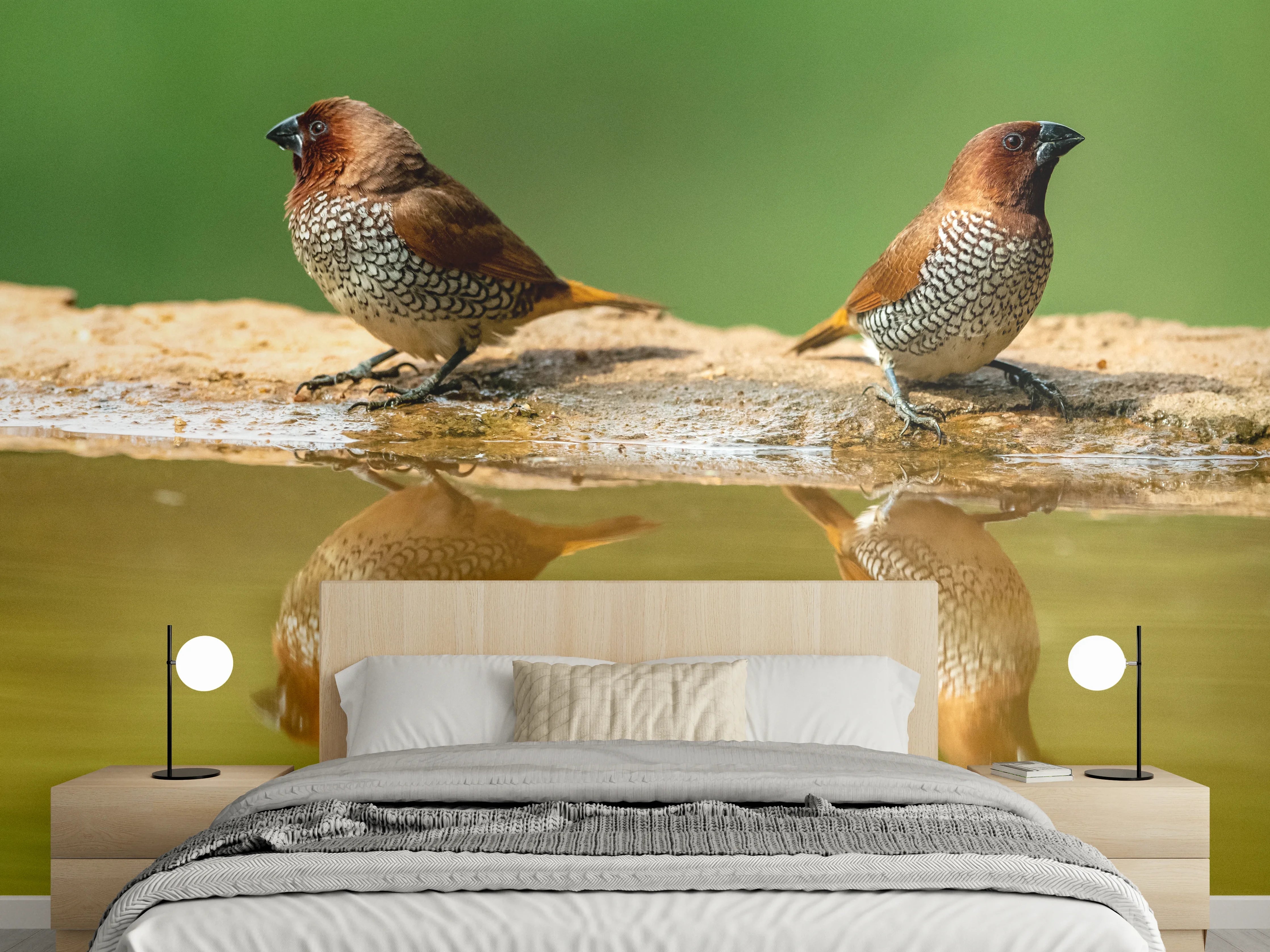 Wandverkleidung Schlafzimmer - Vögel Spiegelung im Wasser