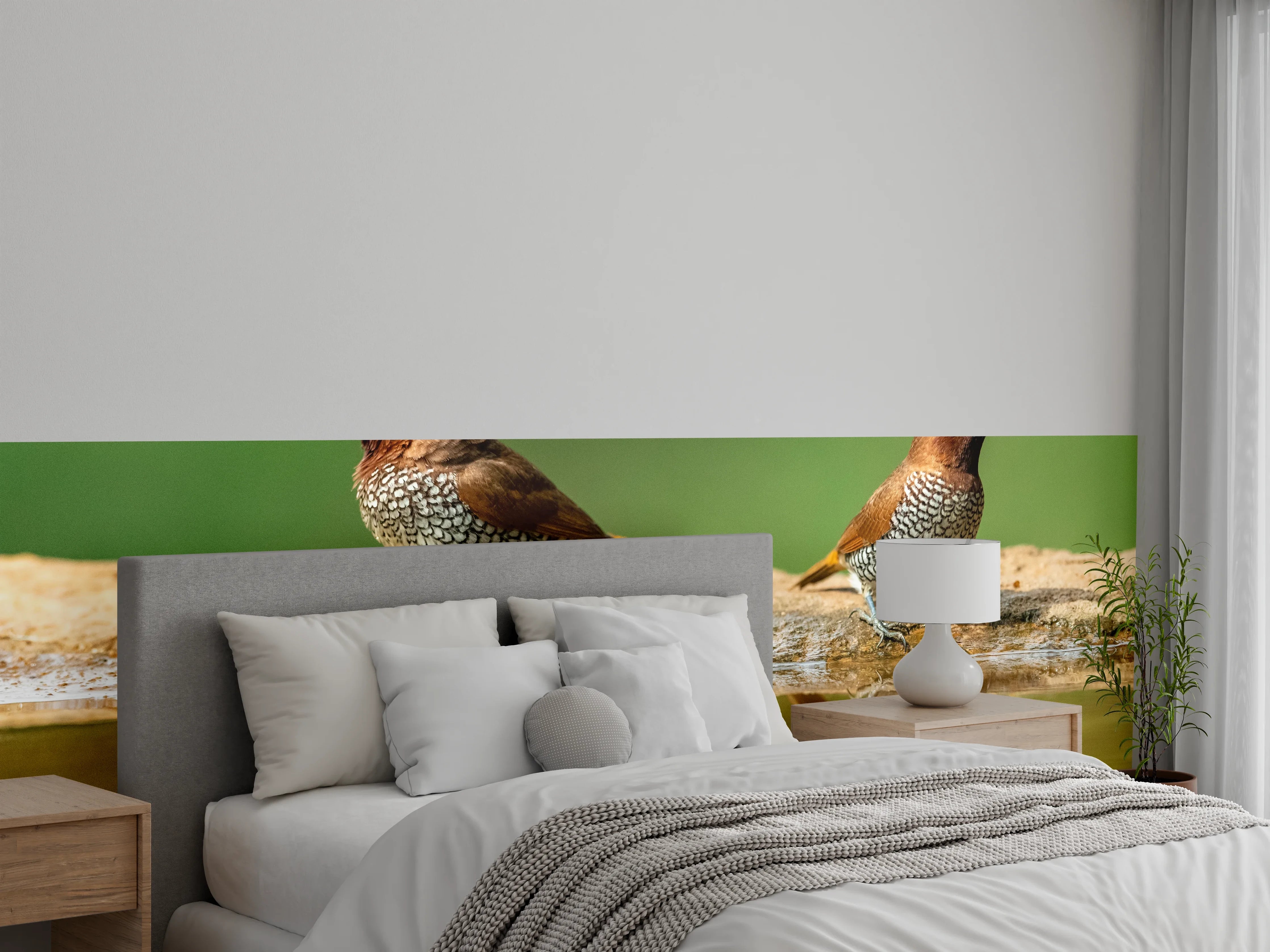 Wandverkleidung Schlafzimmer - Vögel Spiegelung im Wasser