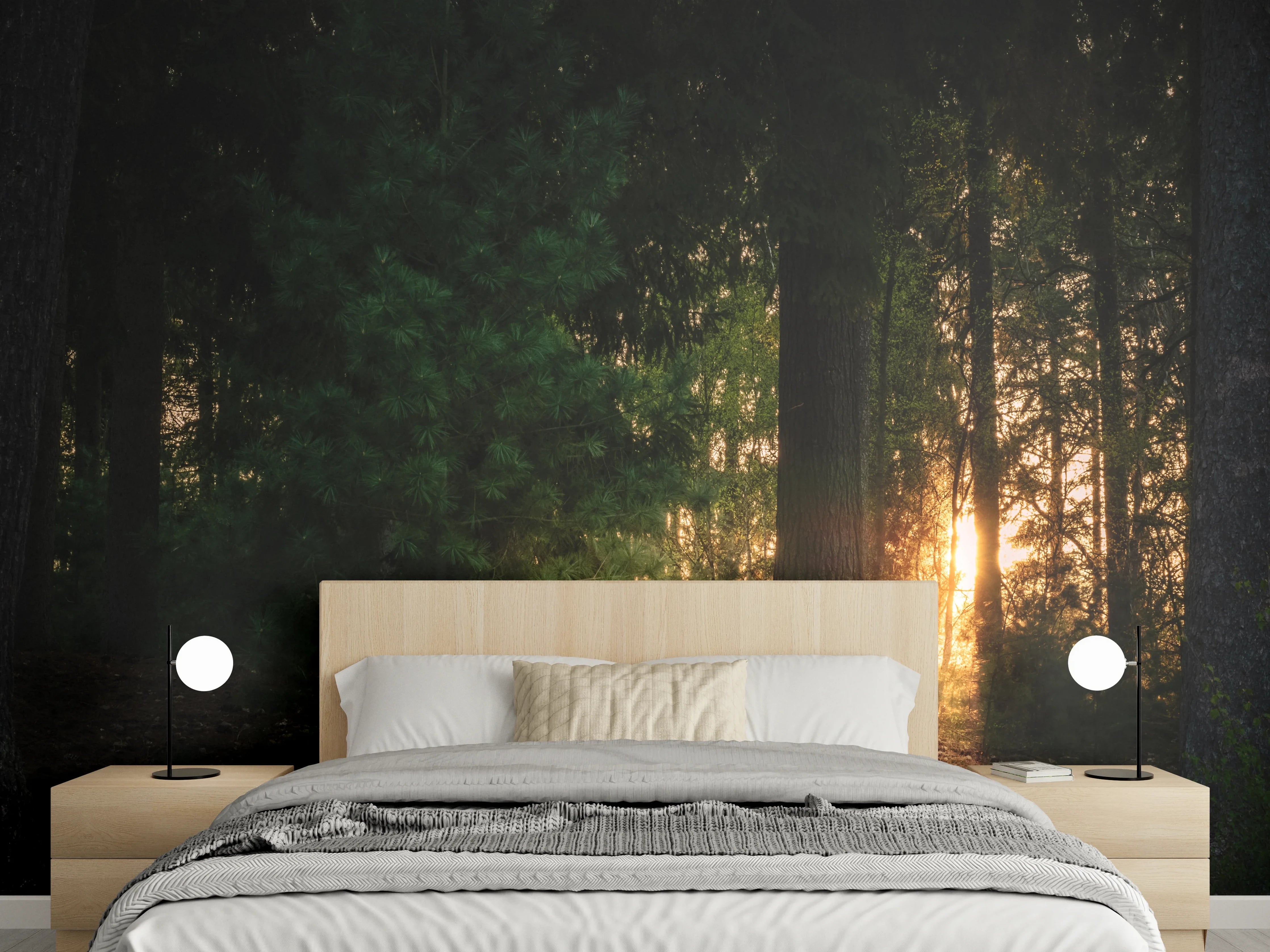 Wandverkleidung Schlafzimmer - Waldidylle Bank Sonnenuntergang Wandbild