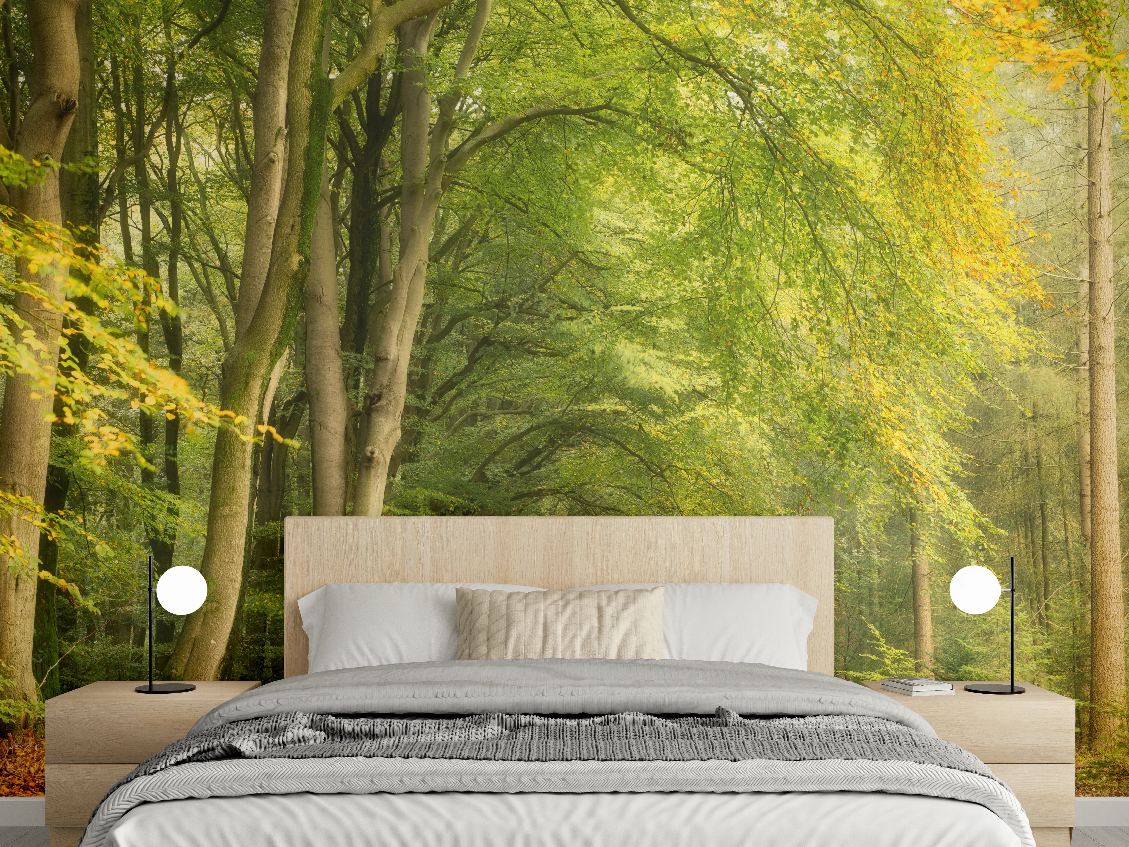 Wandverkleidung Schlafzimmer - Waldweg im Morgenlicht Fototapete