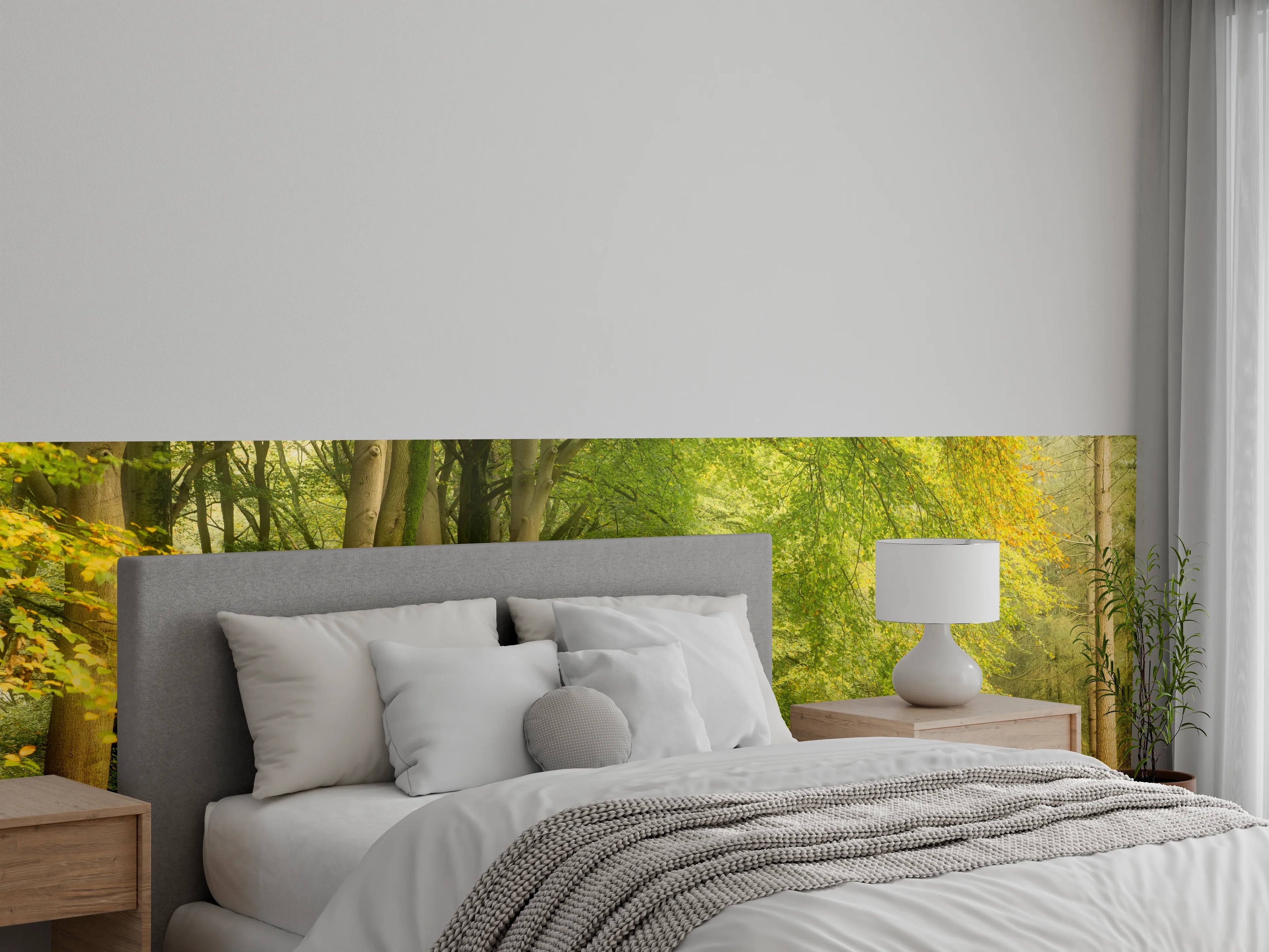 Wandverkleidung Schlafzimmer - Waldweg im Morgenlicht Fototapete