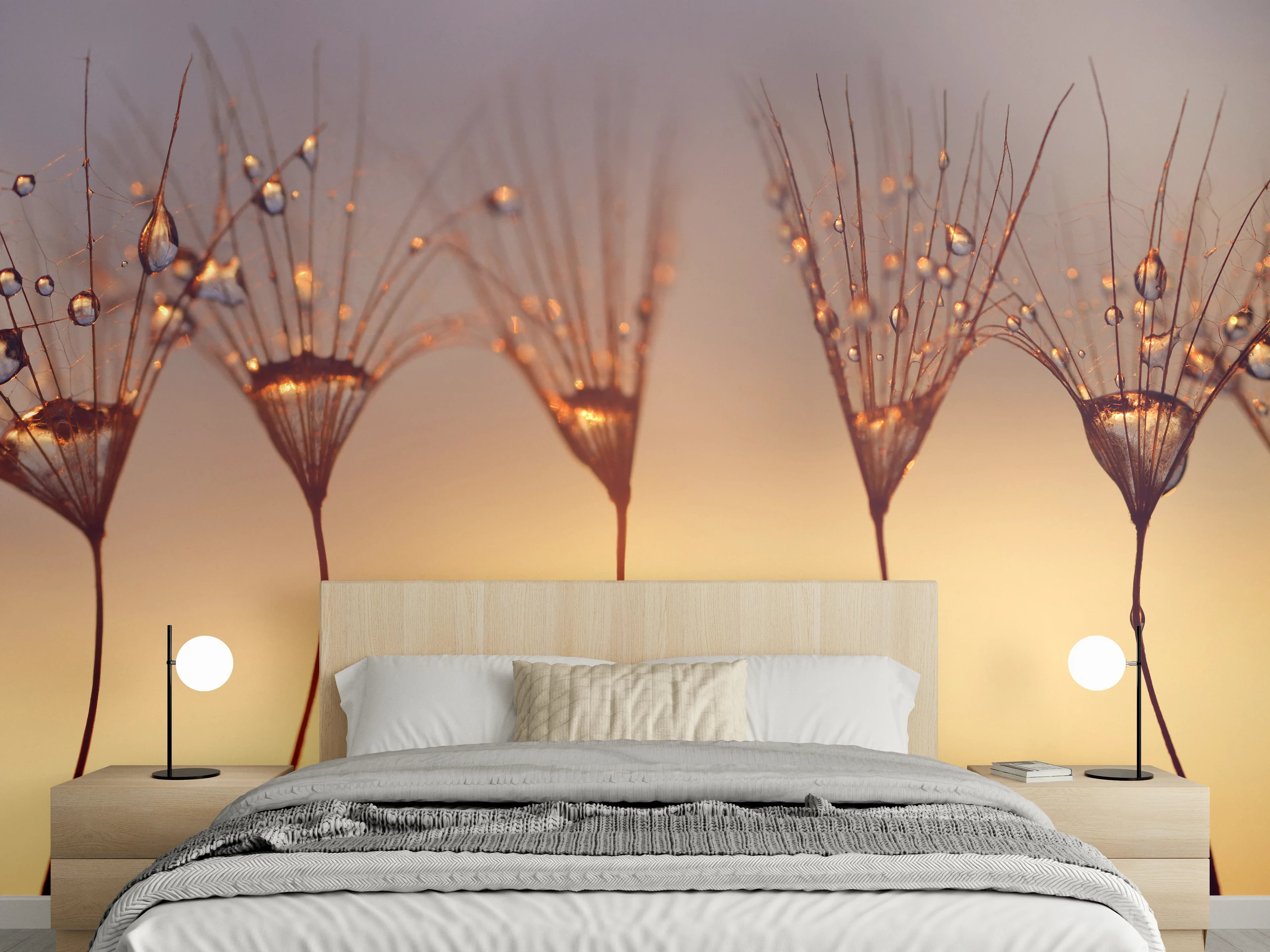 Wandverkleidung Schlafzimmer - Wassertropfen auf Löwenzahnsamen