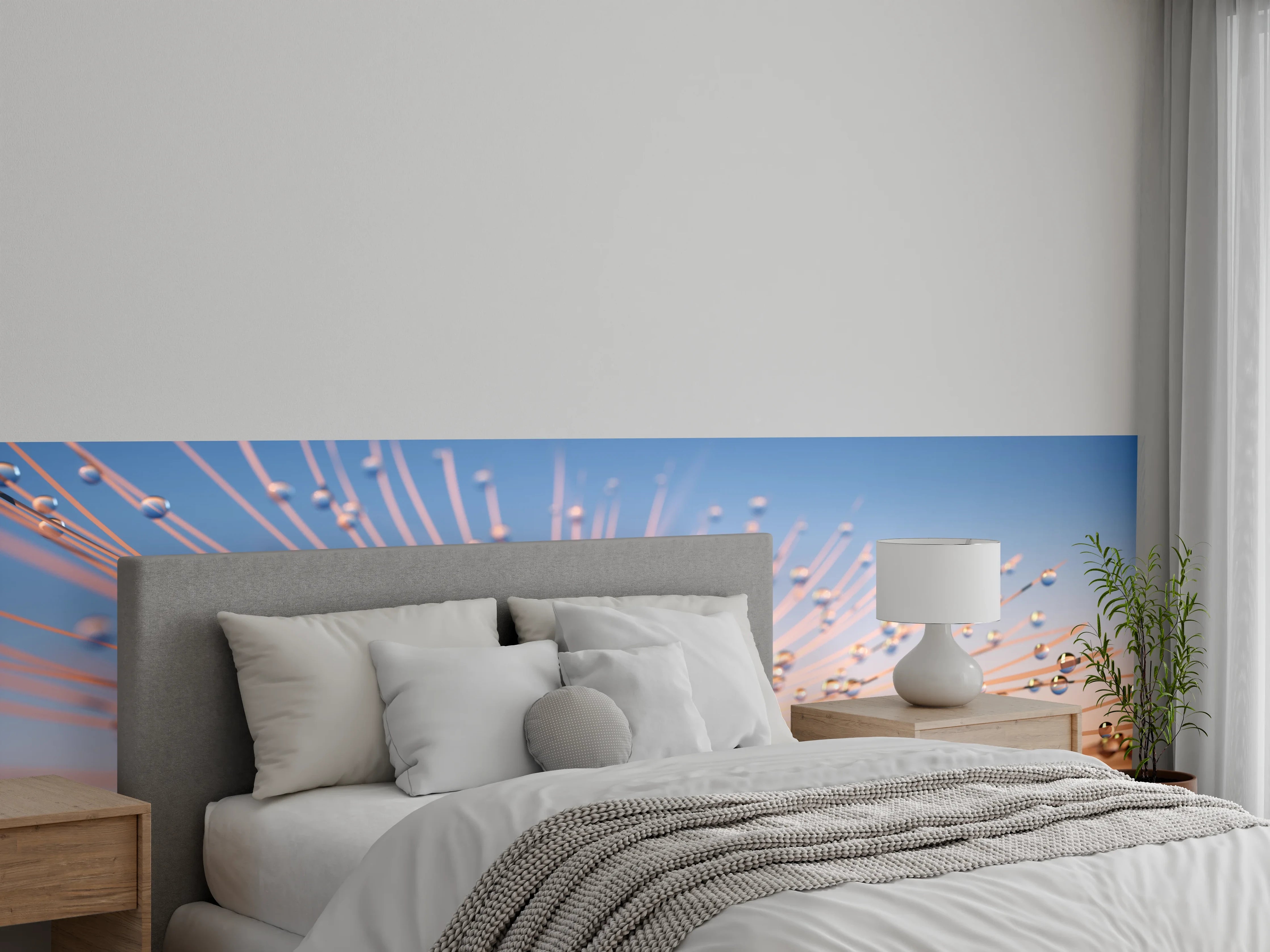 Wandverkleidung Schlafzimmer - Wassertropfen auf Pusteblume bei Sonnenaufgang