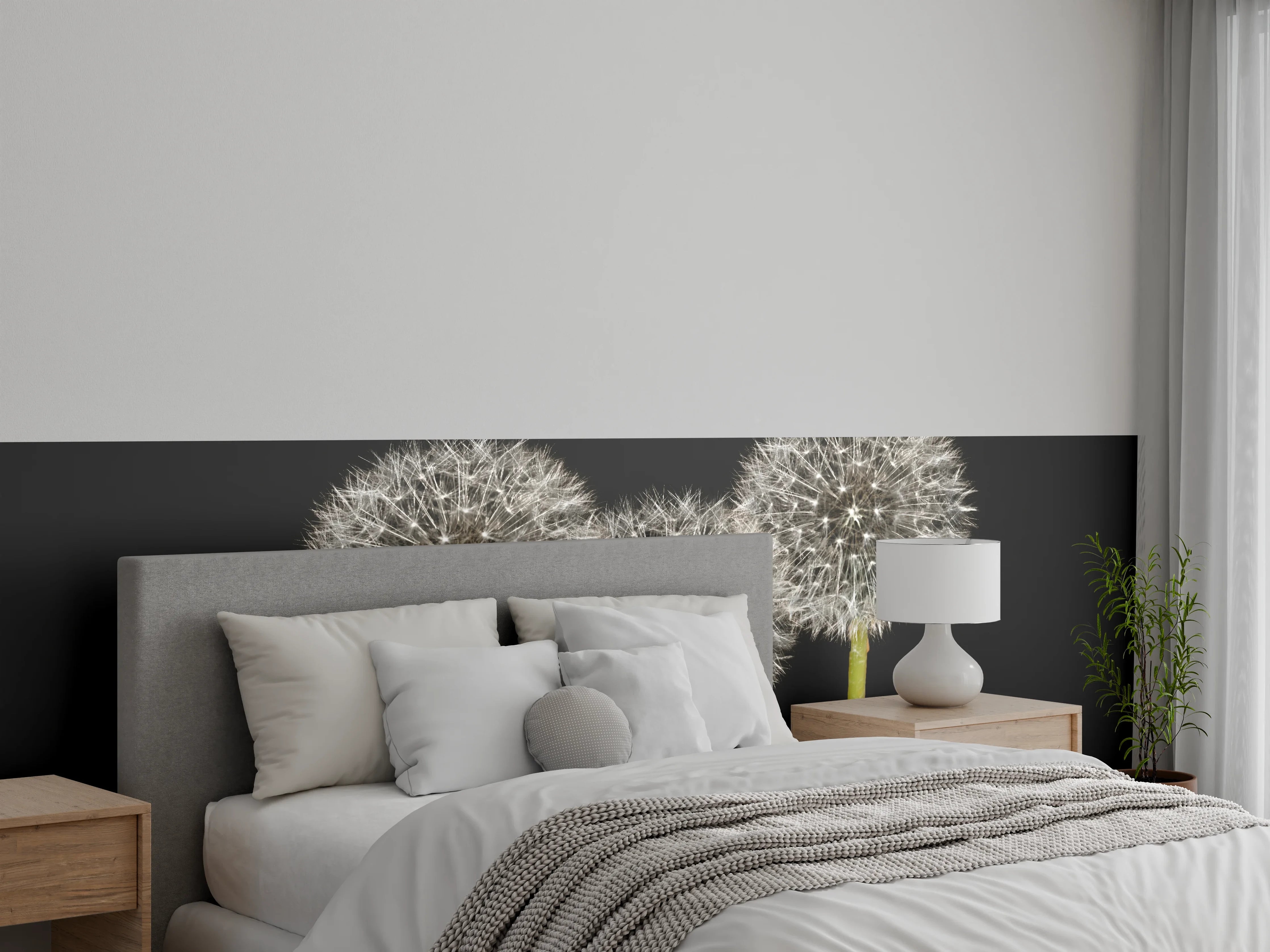 Wandverkleidung Schlafzimmer - Weiße Pusteblumen auf Schwarz