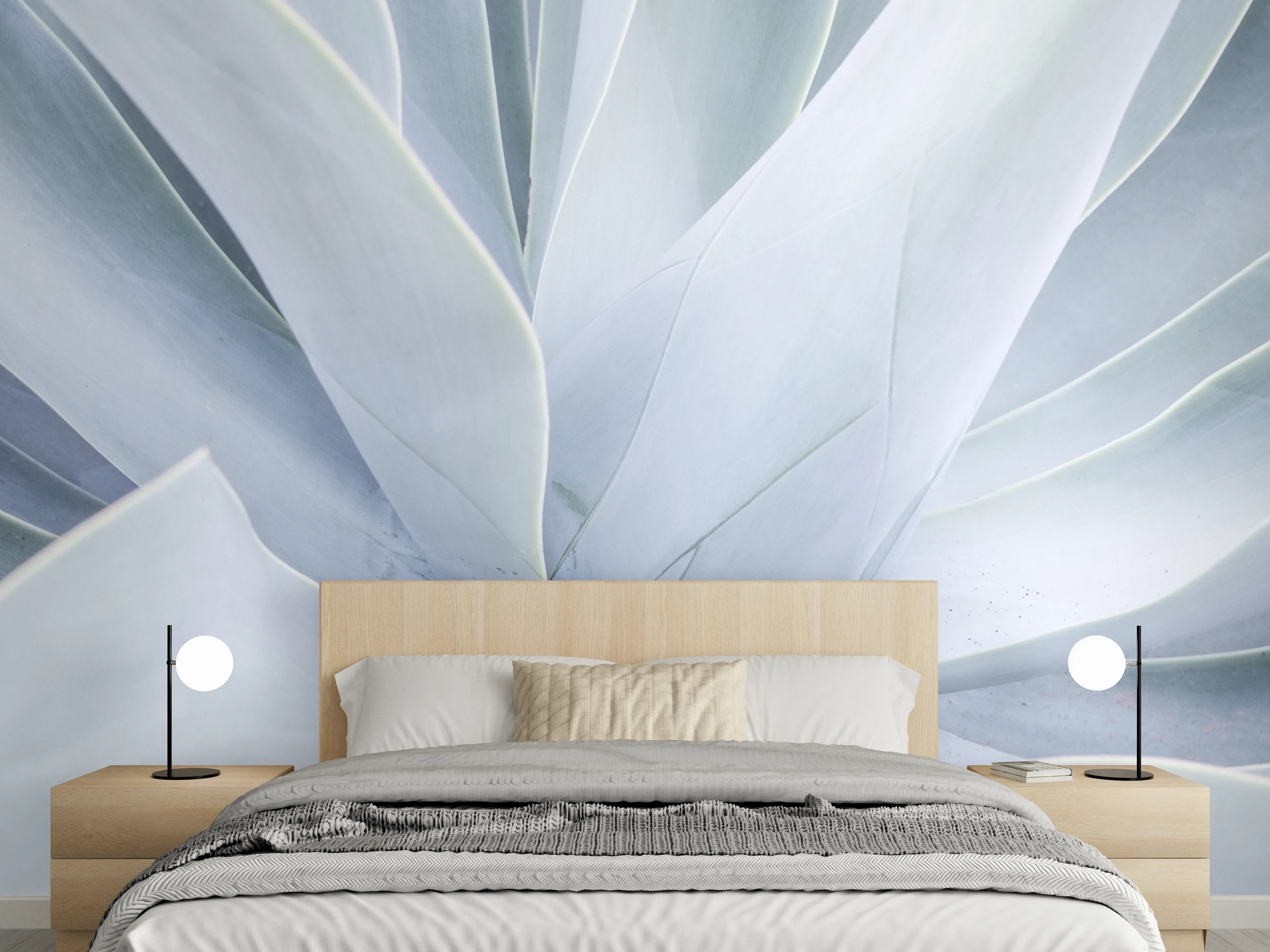 Wandverkleidung Schlafzimmer - Weiße Sukkulente abstrakt Nahaufnahme