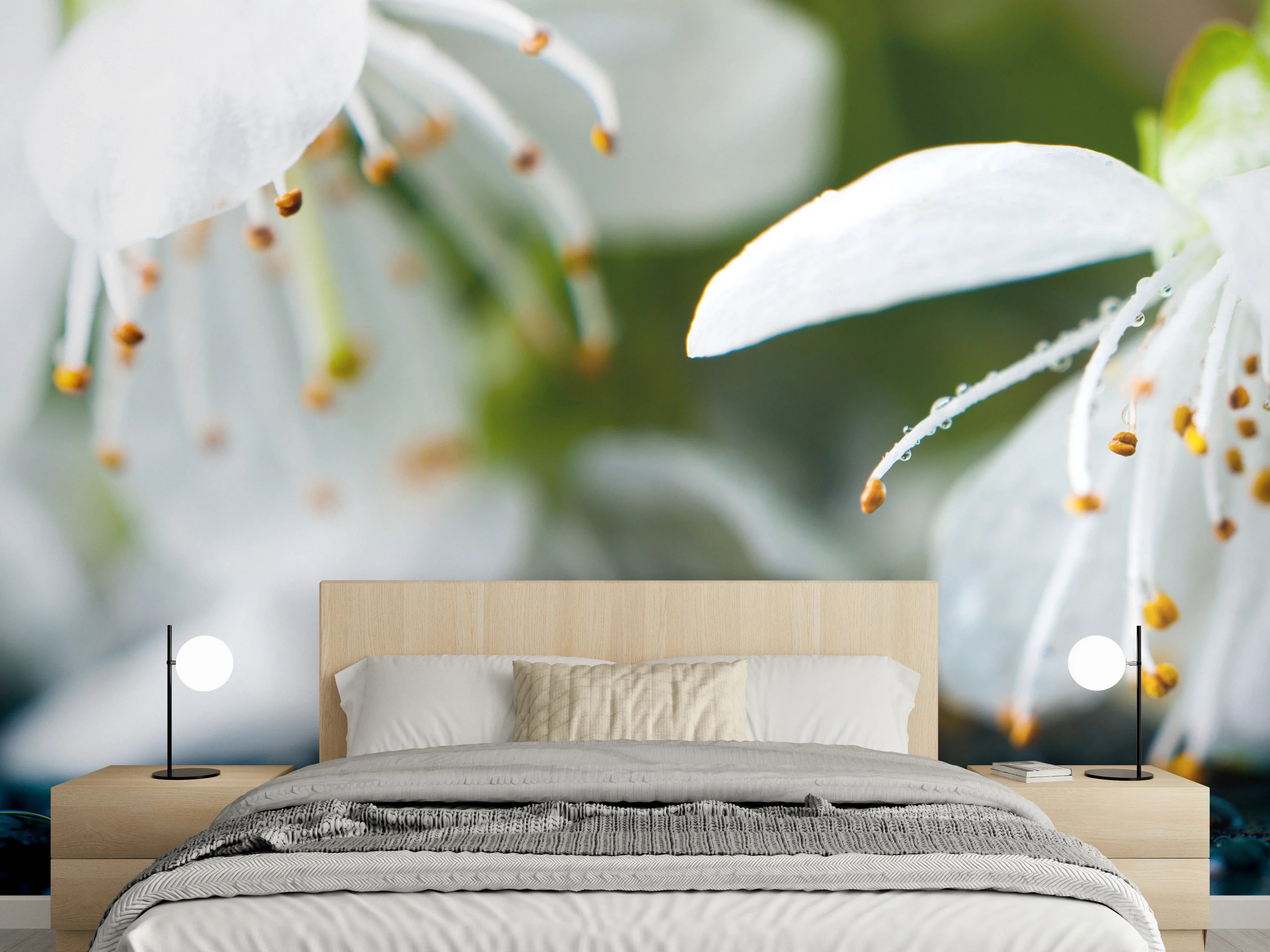 Wandverkleidung Schlafzimmer - Weiße blühende Frühlingsblumen