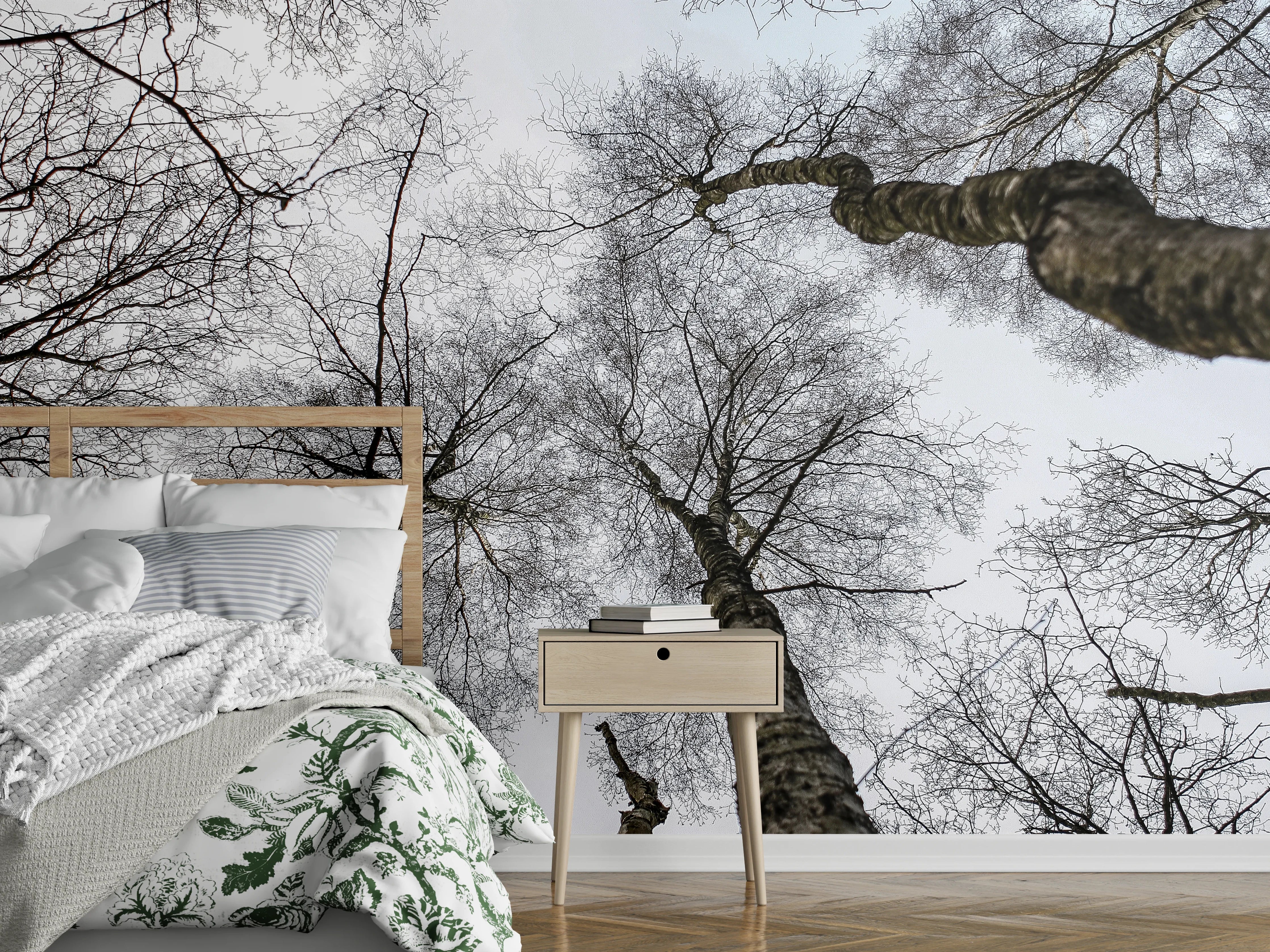 Wandverkleidung Schlafzimmer - Winterliche Baumkronen in Schwarz-Weiß