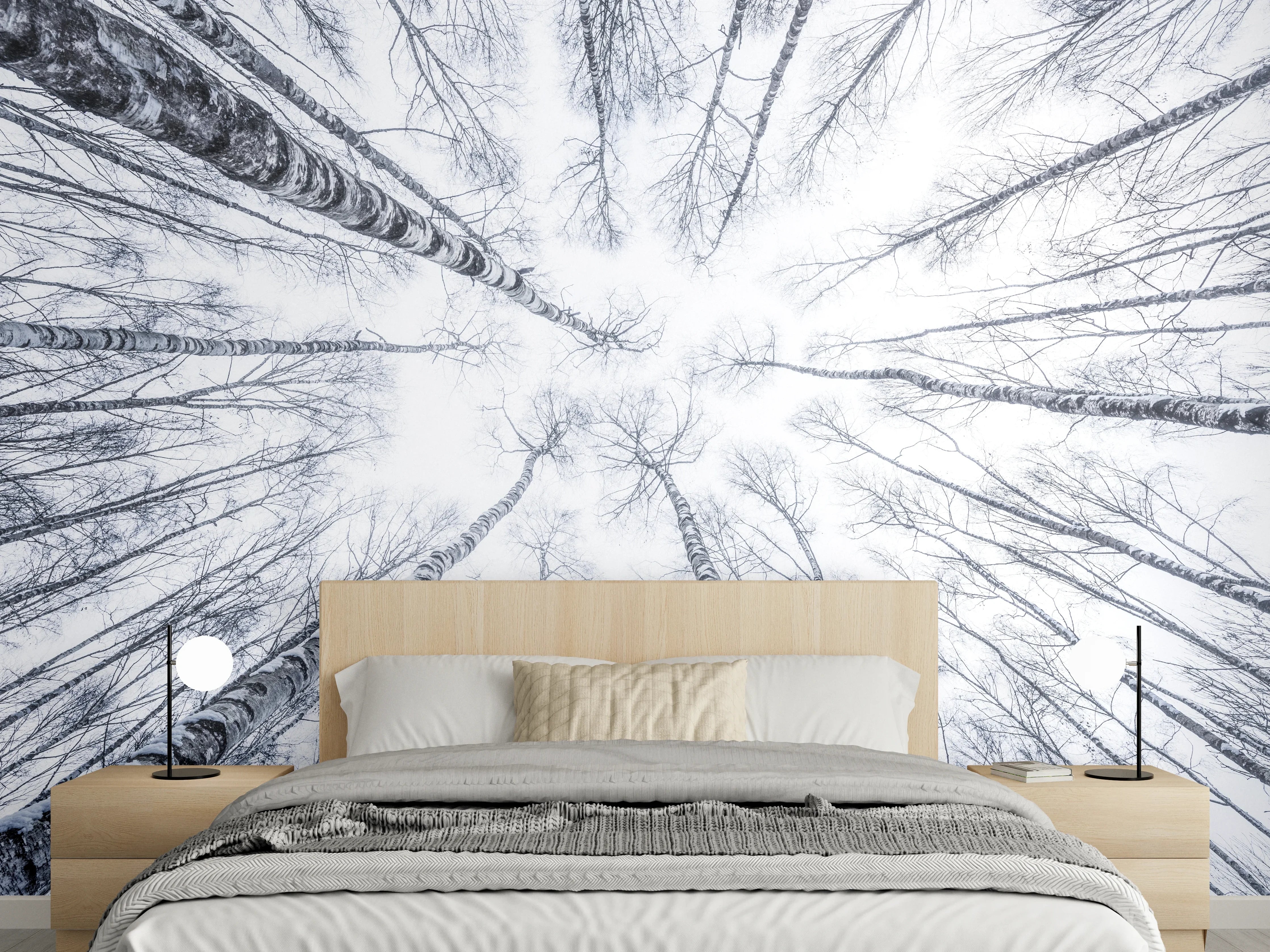 Wandverkleidung Schlafzimmer - Winterlicher Birkenwald Schwarz-Weiß