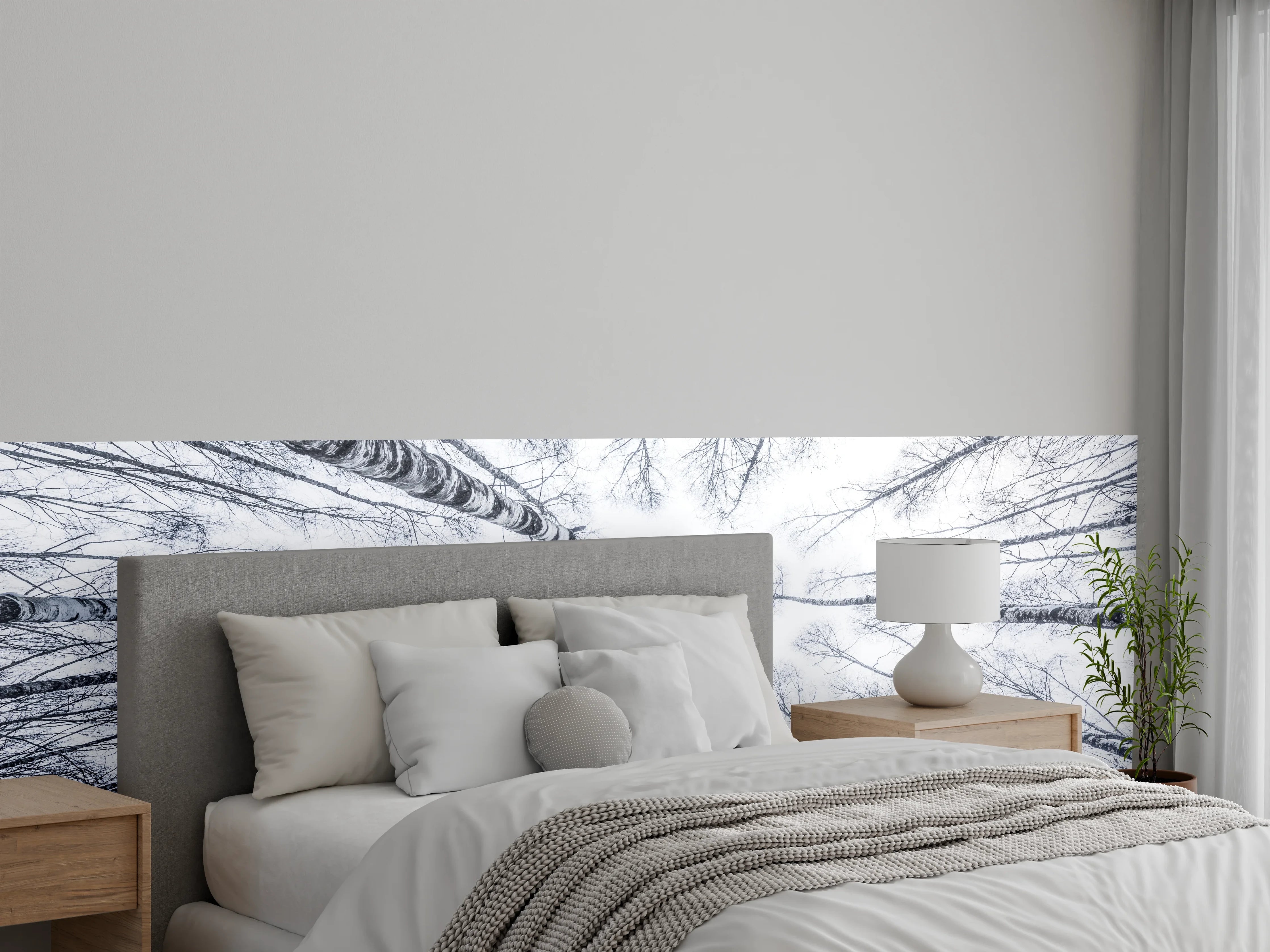 Wandverkleidung Schlafzimmer - Winterlicher Birkenwald Schwarz-Weiß