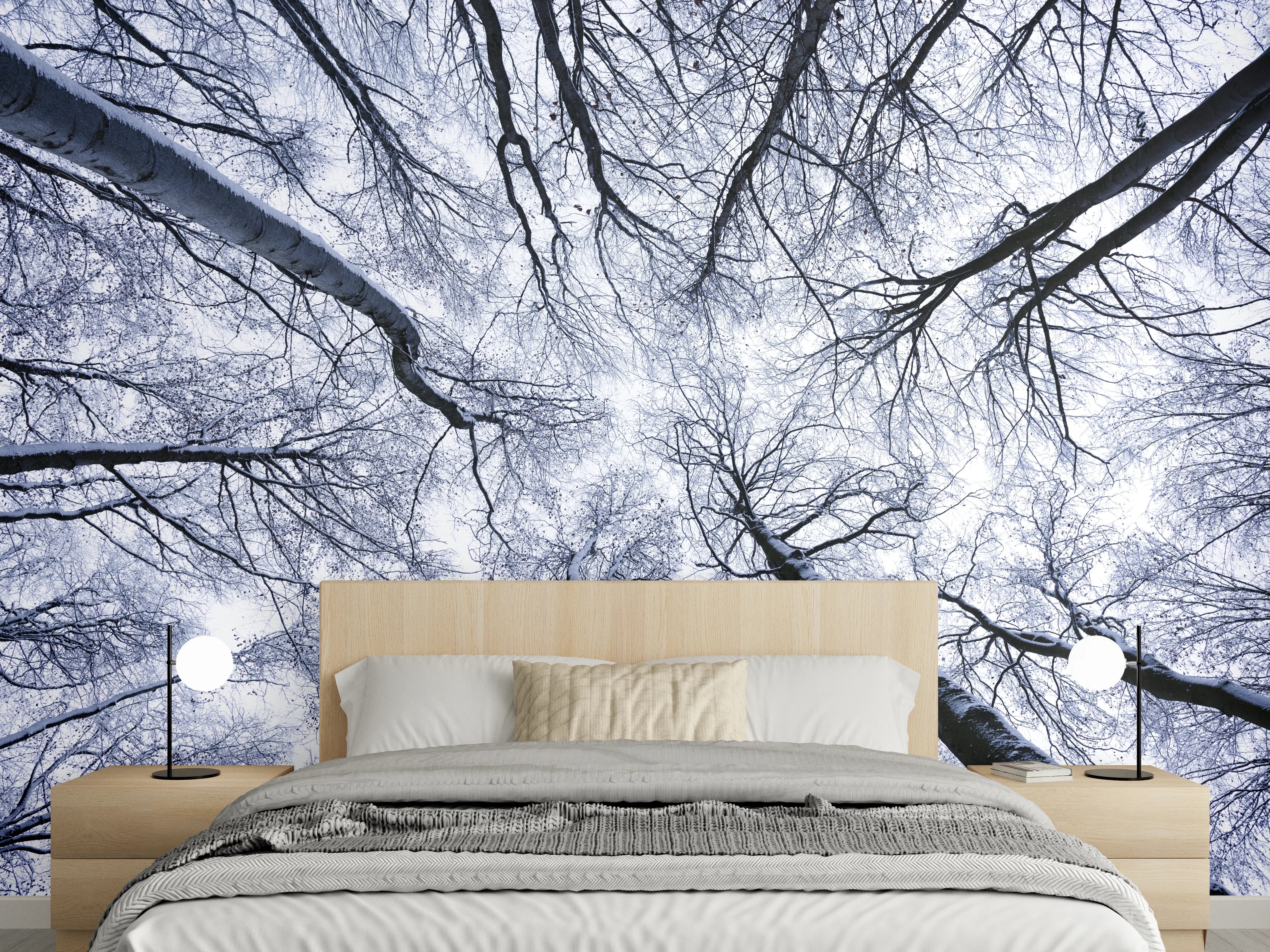 Wandverkleidung Schlafzimmer - Winterlicher Waldblick nach oben – Weiß & Schwarz
