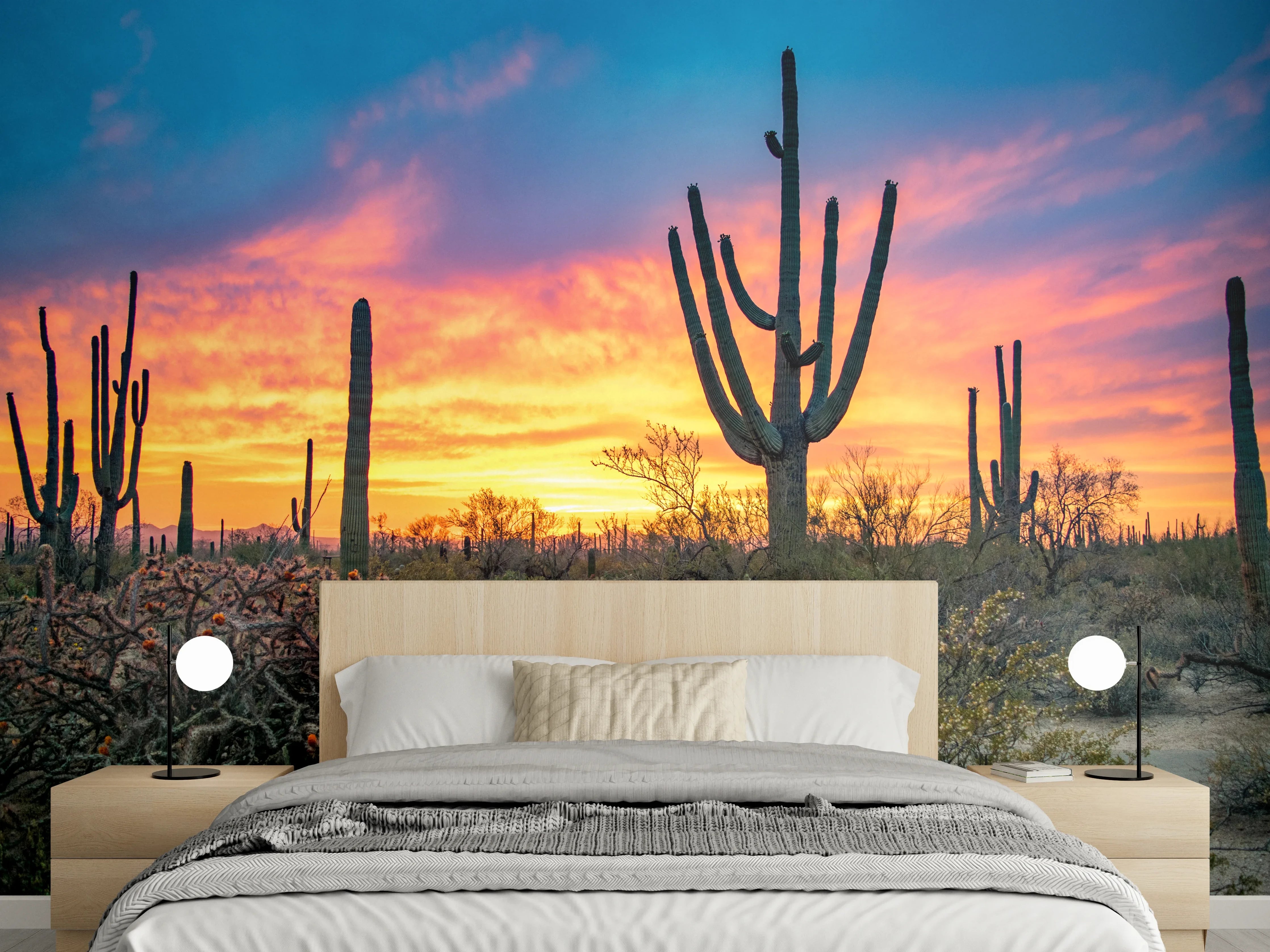 Wandverkleidung Schlafzimmer - Wüstenkaktus bei Sonnenuntergang Fototapete