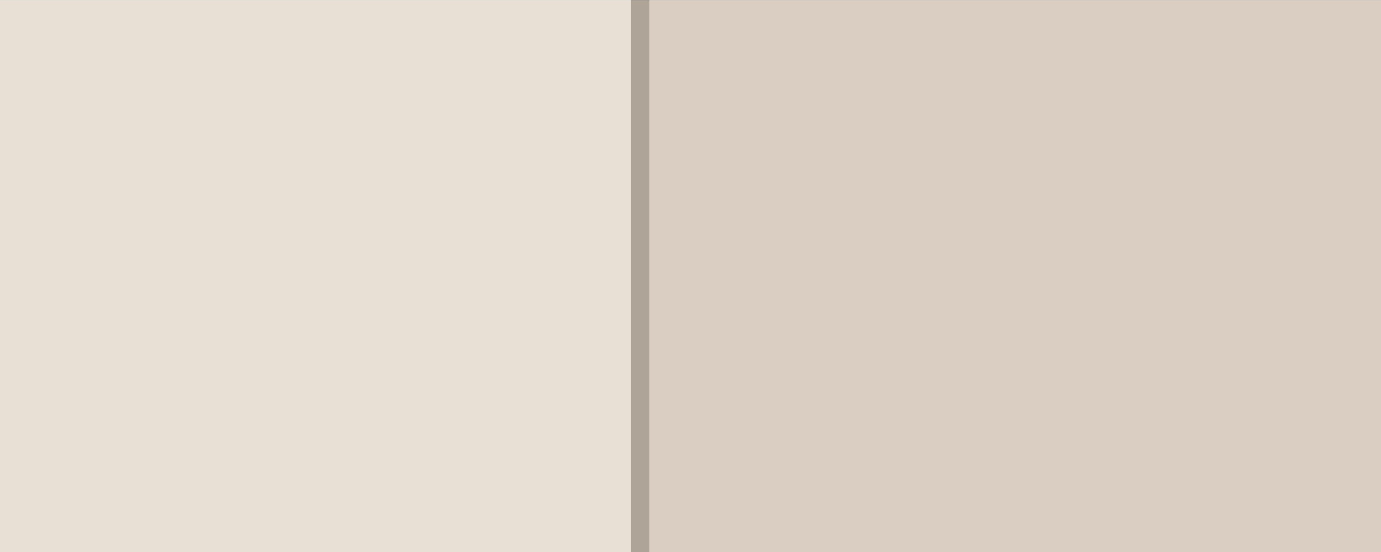 Wandverkleidung Schlafzimmer-Zweifarbige Beige Wandoptik