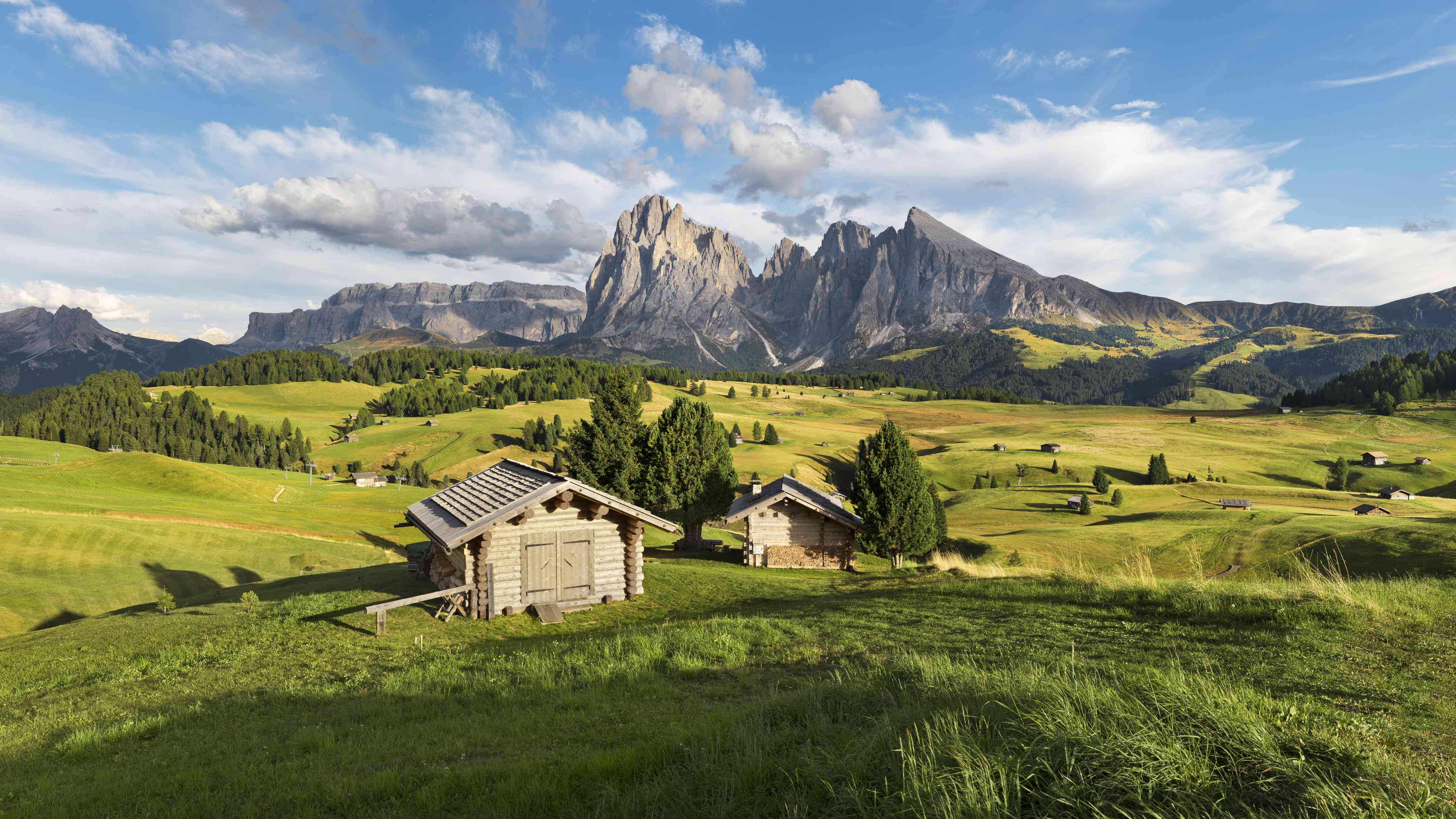 Wandverkleidung Wohnzimmer-Alpenidylle mit grünen Wiesen