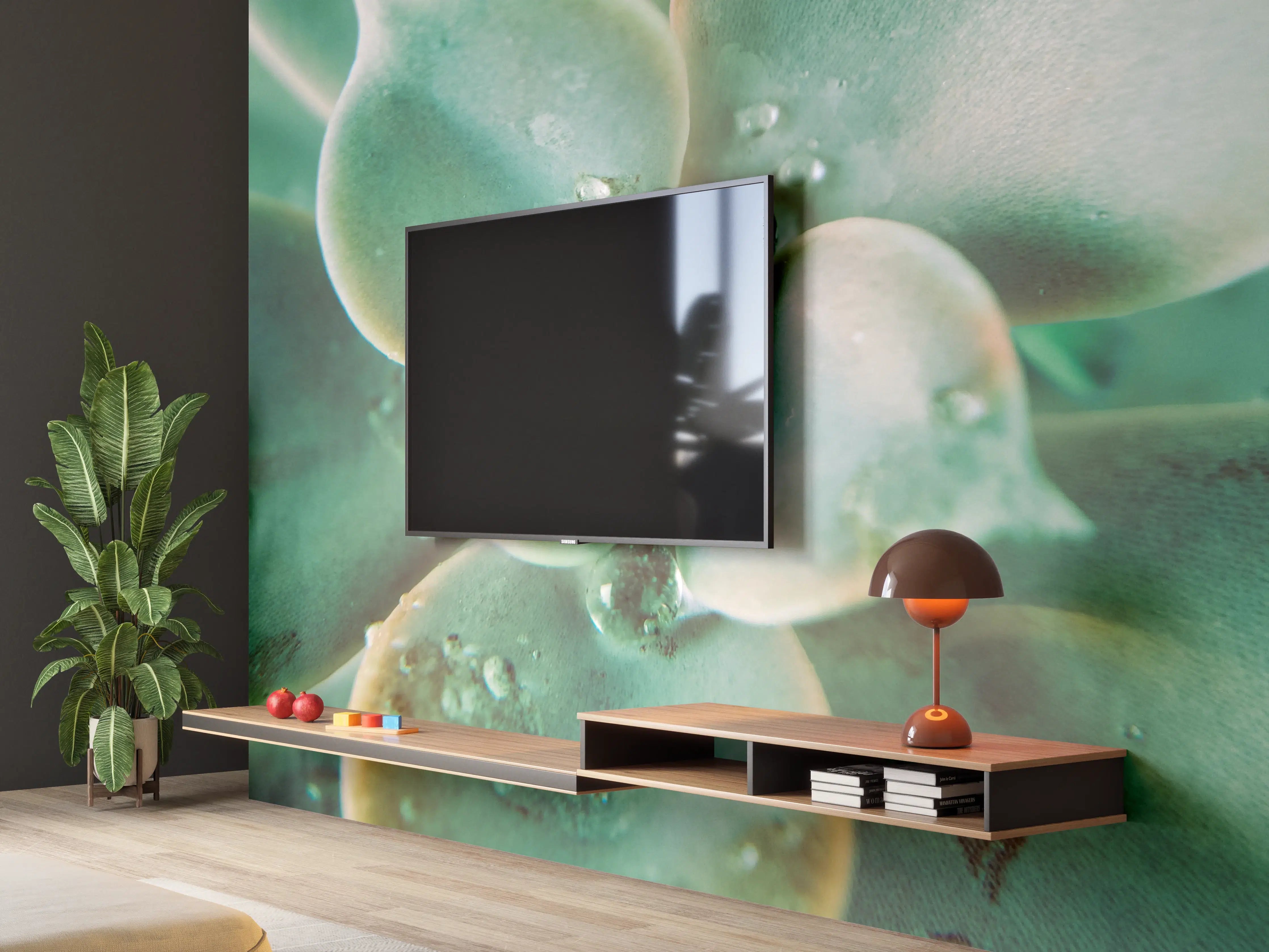 Wandverkleidung Wohnzimmer - Atemberaubende Sukkulente mit Wassertropfen