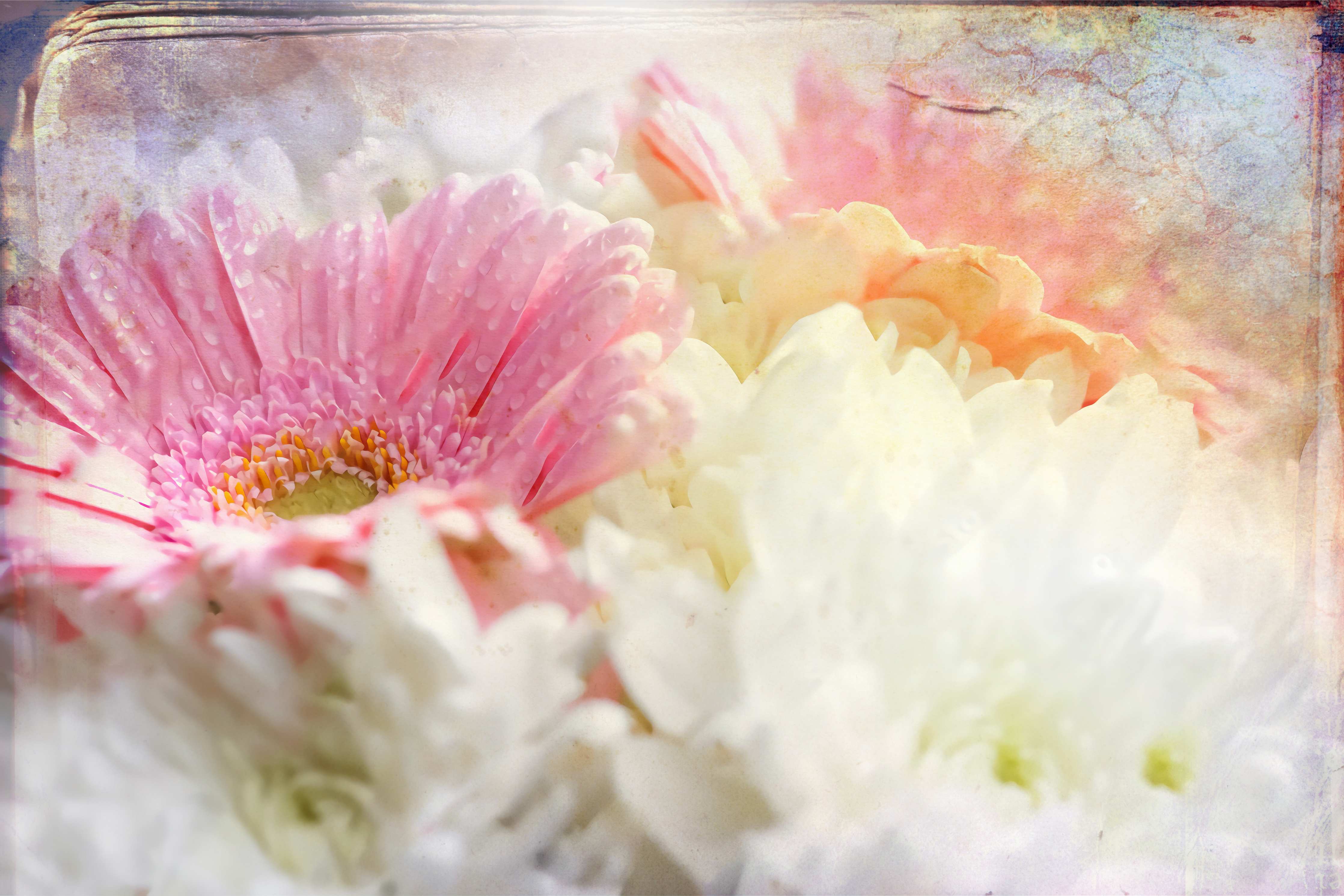 Wandverkleidung Wohnzimmer-Blumen in sanften Pastellfarben