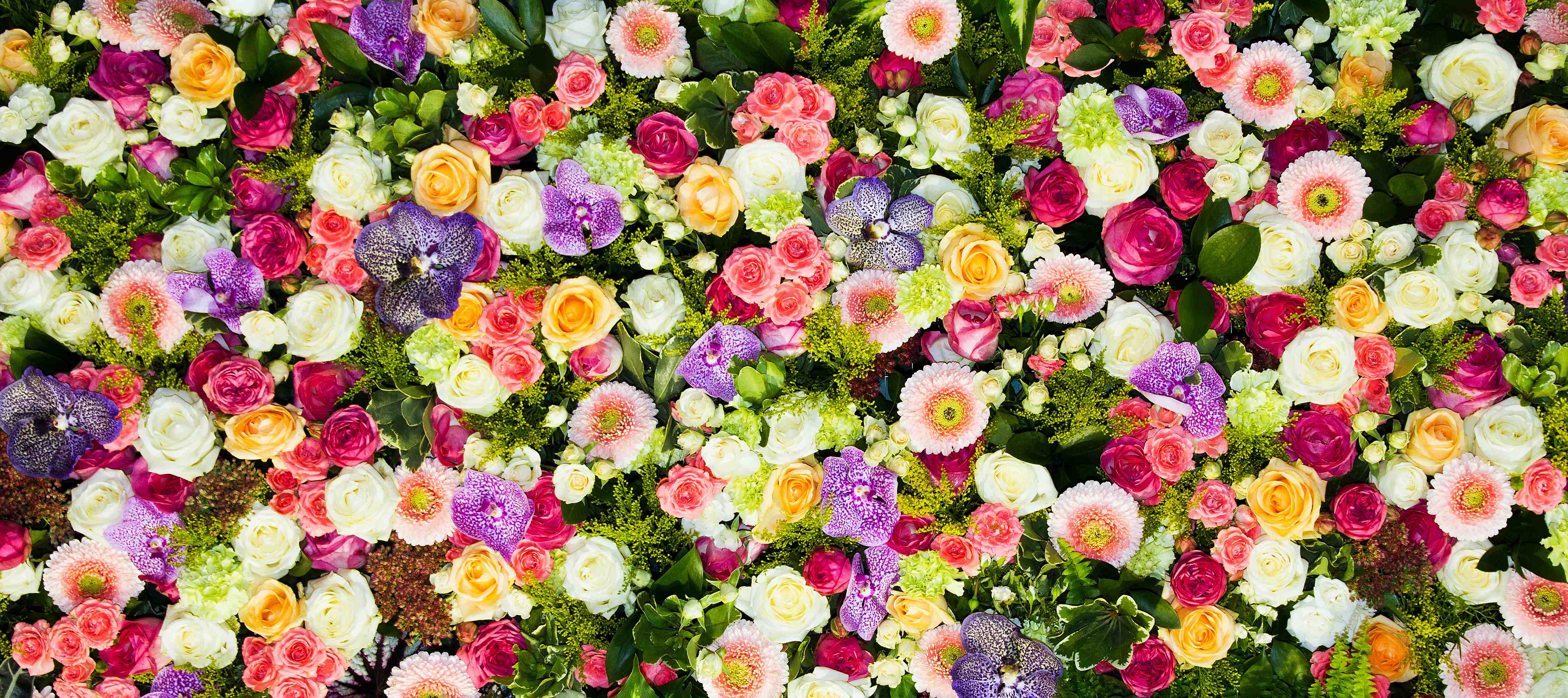 Wandverkleidung Wohnzimmer-Bunte Blumenpracht voller Frische