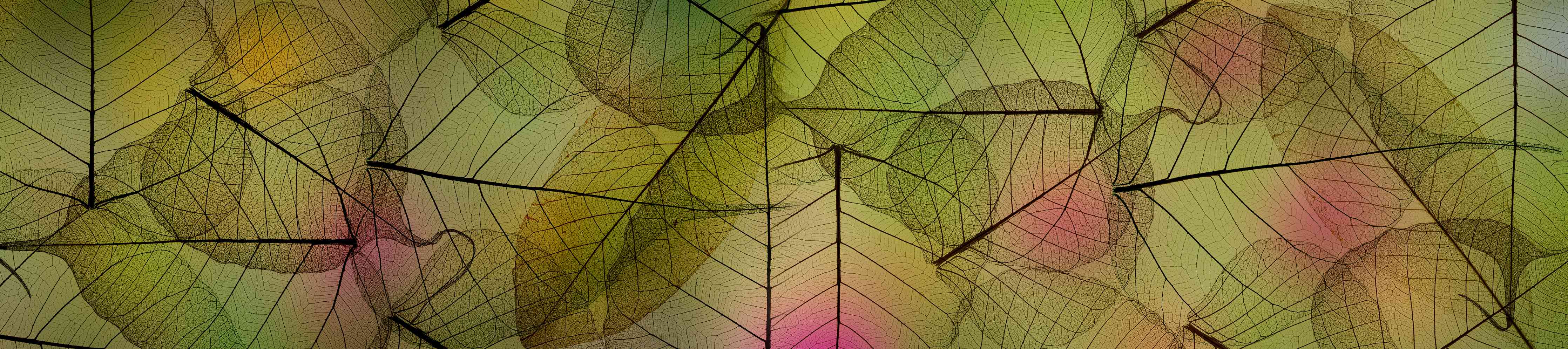 Wandverkleidung Wohnzimmer-Buntes Blattadern Makrofoto