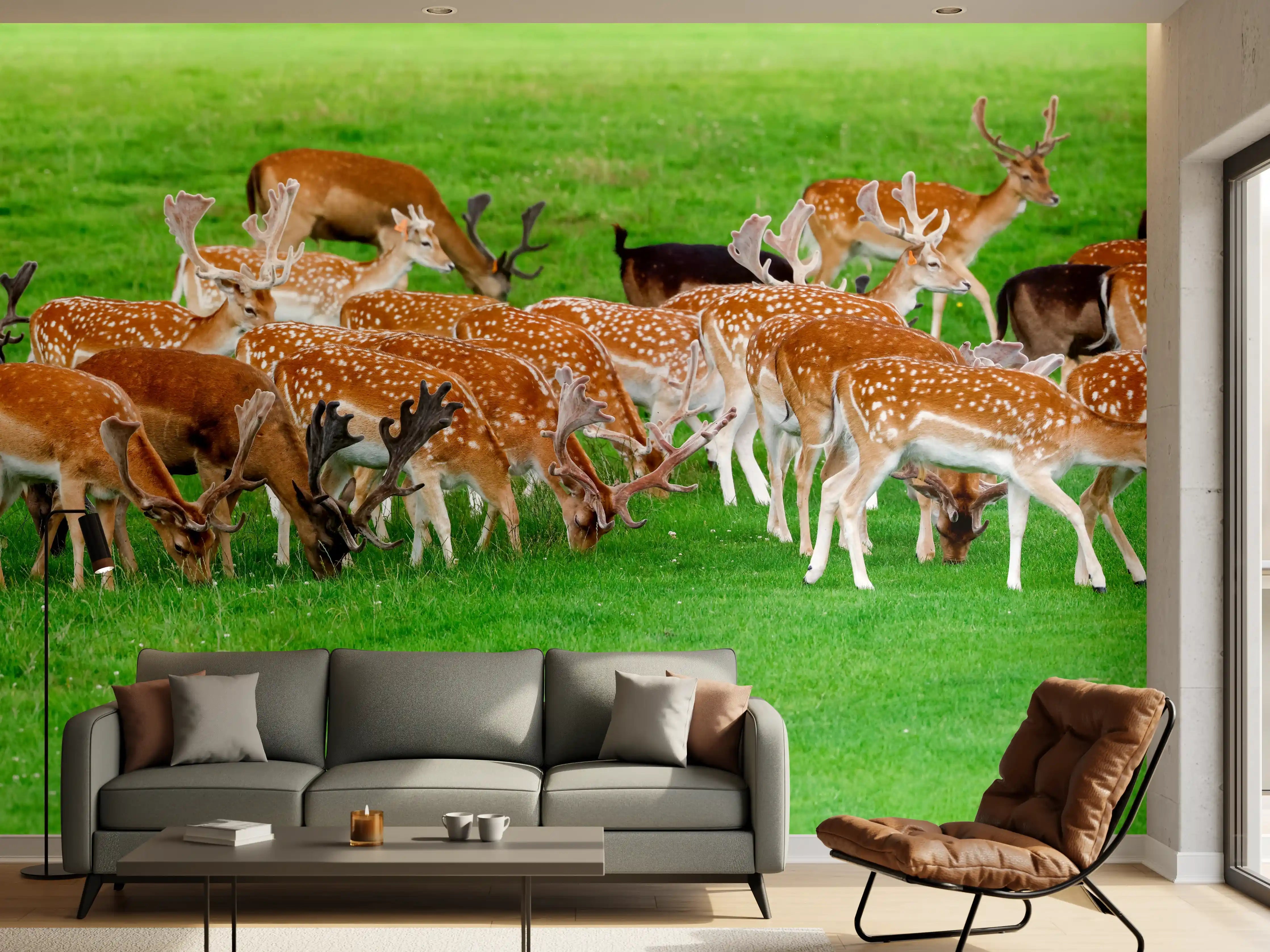Wandverkleidung Wohnzimmer - Damwild-Herde auf grüner Wiese