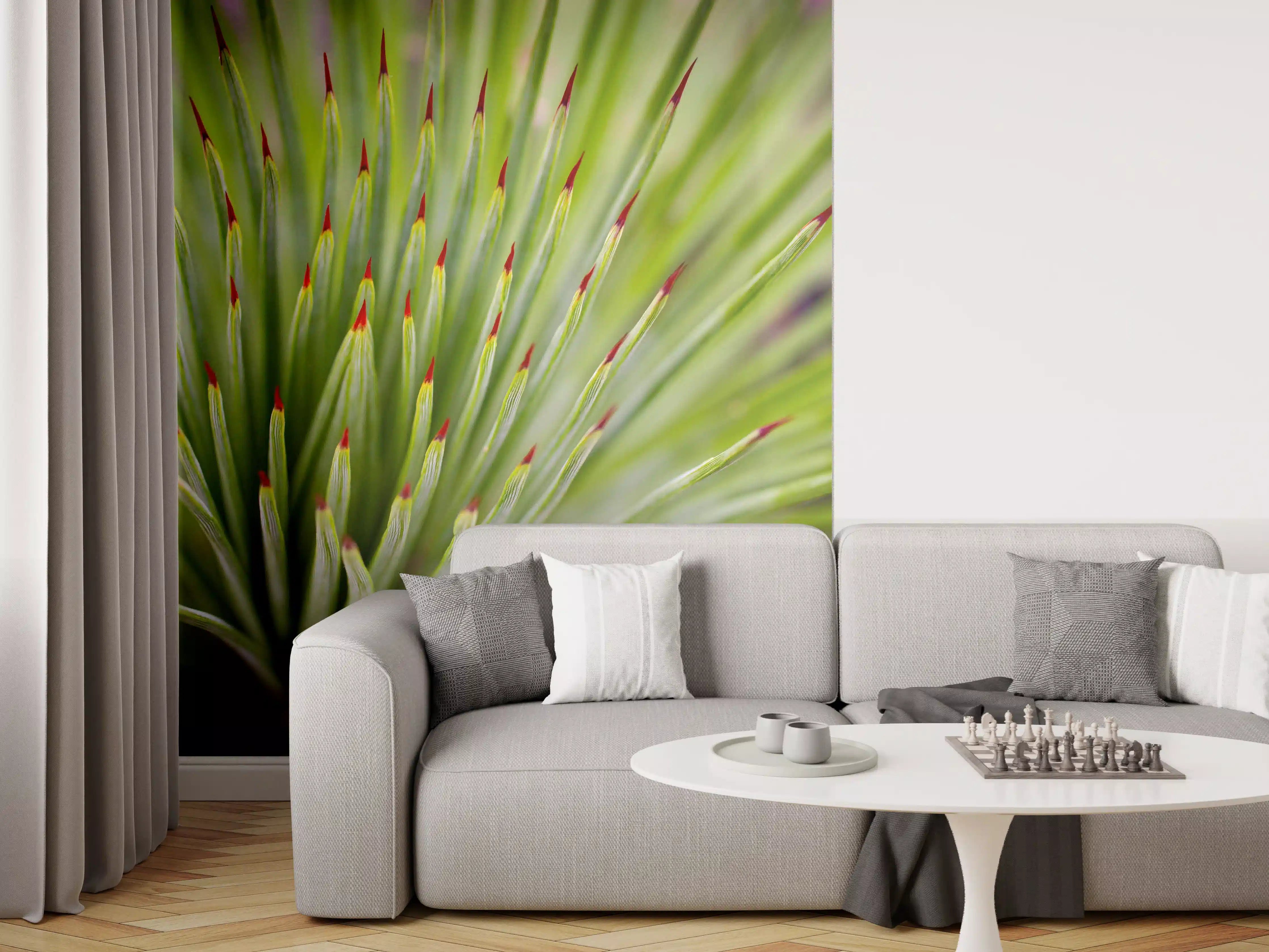 Wandverkleidung Wohnzimmer - Detailreiche Nahaufnahme eines grünen, spitzen Sukkulenten