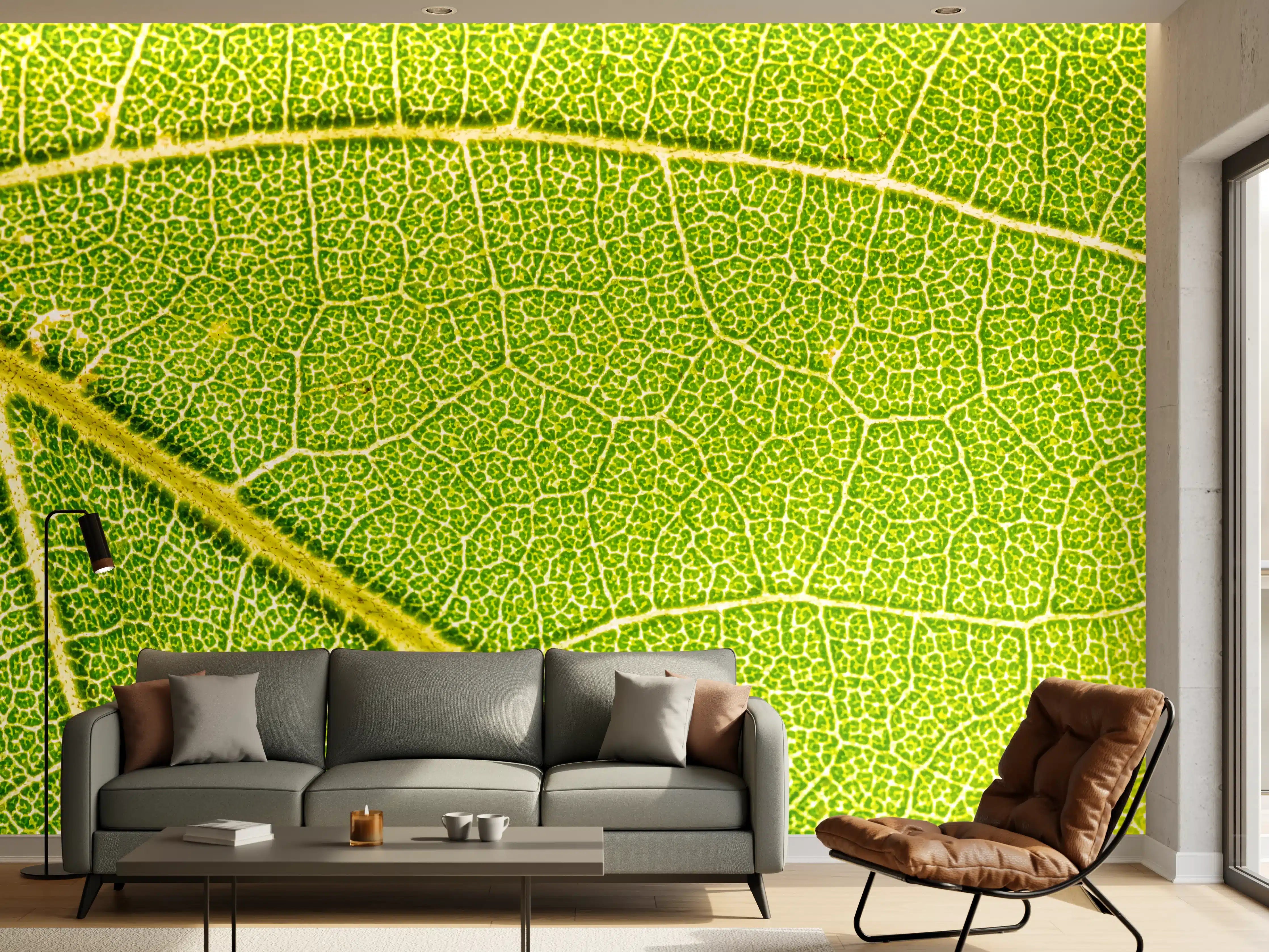Wandverkleidung Wohnzimmer - Detailreiche Naturaufnahme eines Blattes