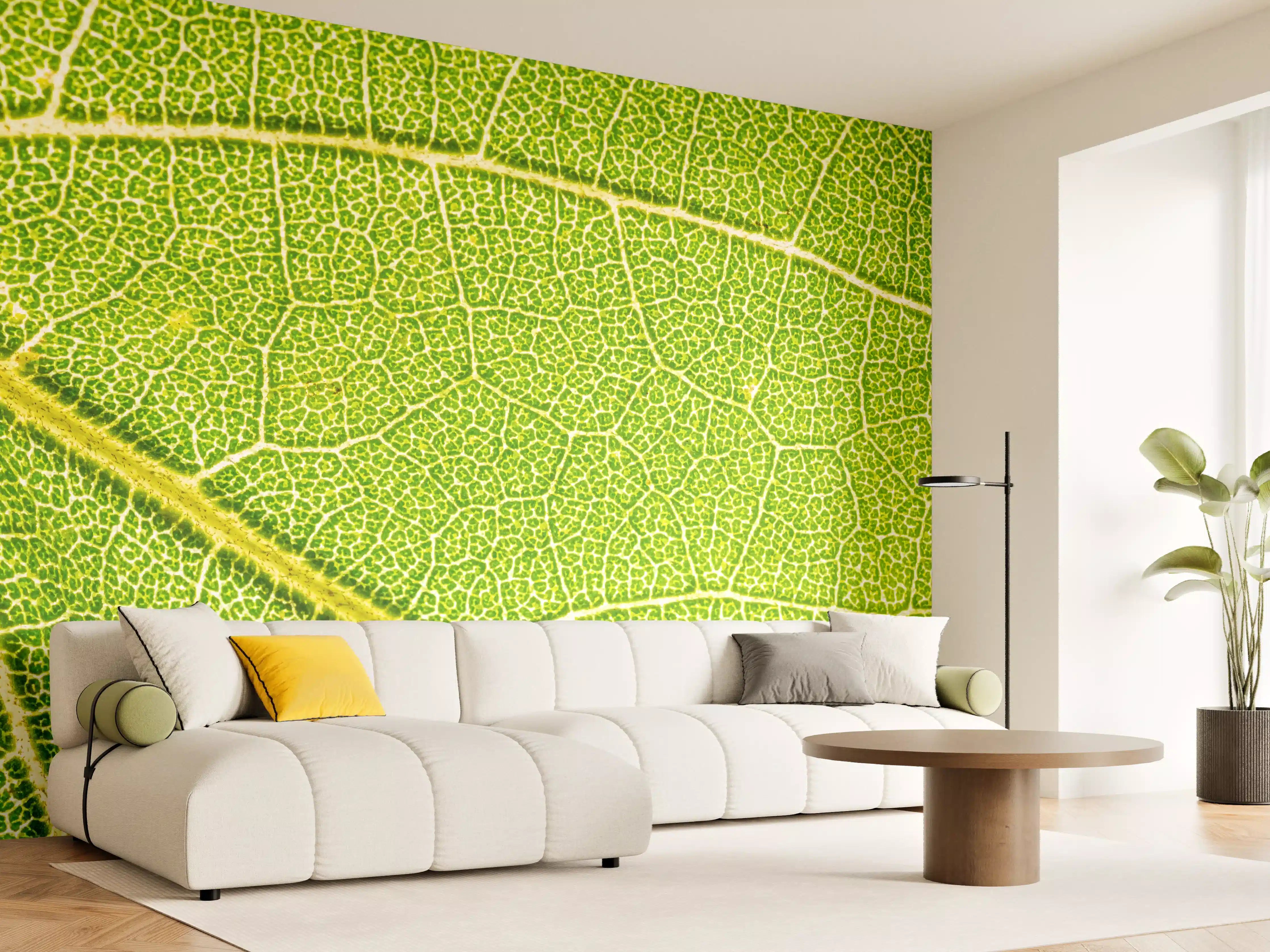 Wandverkleidung Wohnzimmer - Detailreiche Naturaufnahme eines Blattes